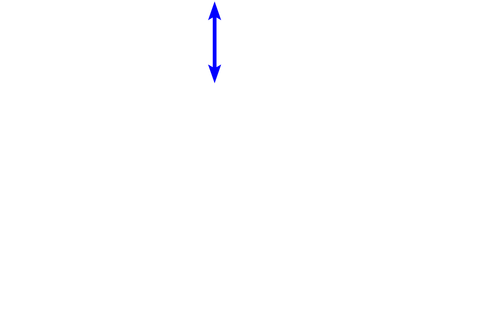Stratum corneum <p>This section shows a more highly pigmented epidermis with increased melanin in the stratum basale cells.  Melanocytes, identified by their clear cytoplasm and heterochromatic nuclei, are visible among the basal cells.  The number of melanocytes remains constant across individuals with different skin tones, however their melanin-synthesizing activity varies.  Pentachrome stain,  1000x</p>
