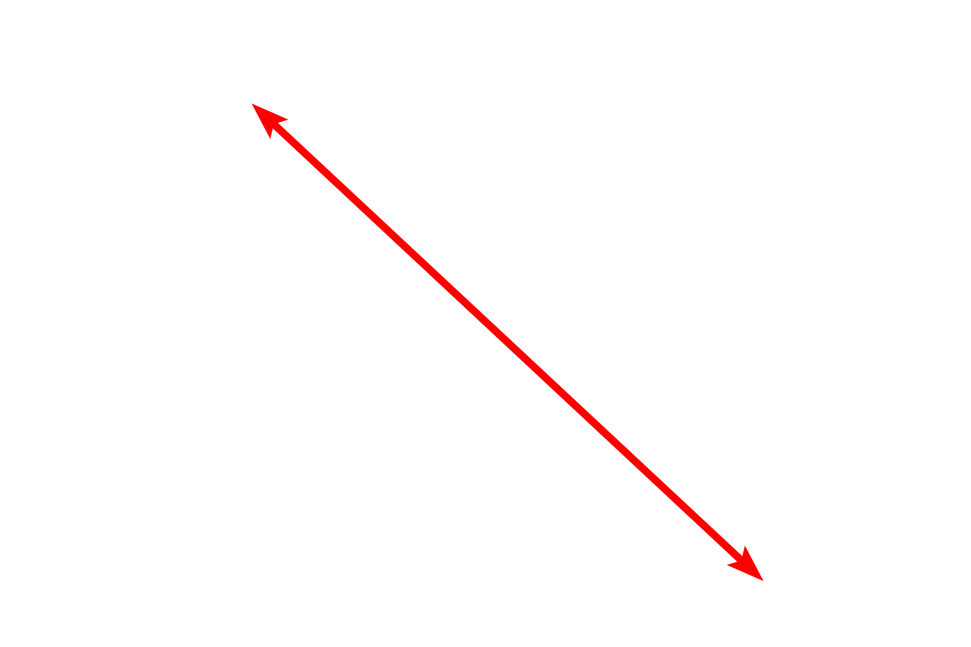 Melanocyte <p>Melanocytes in stratum basale synthesize melanin pigment in vesicles called melanosomes. Once formed, these vesicles migrate into melanocyte processes and are transferred to neighboring keratinocytes. Once in keratinocytes, melanin distributes to a supranuclear location, blocking ultraviolet radiation.  10,000x</p>
