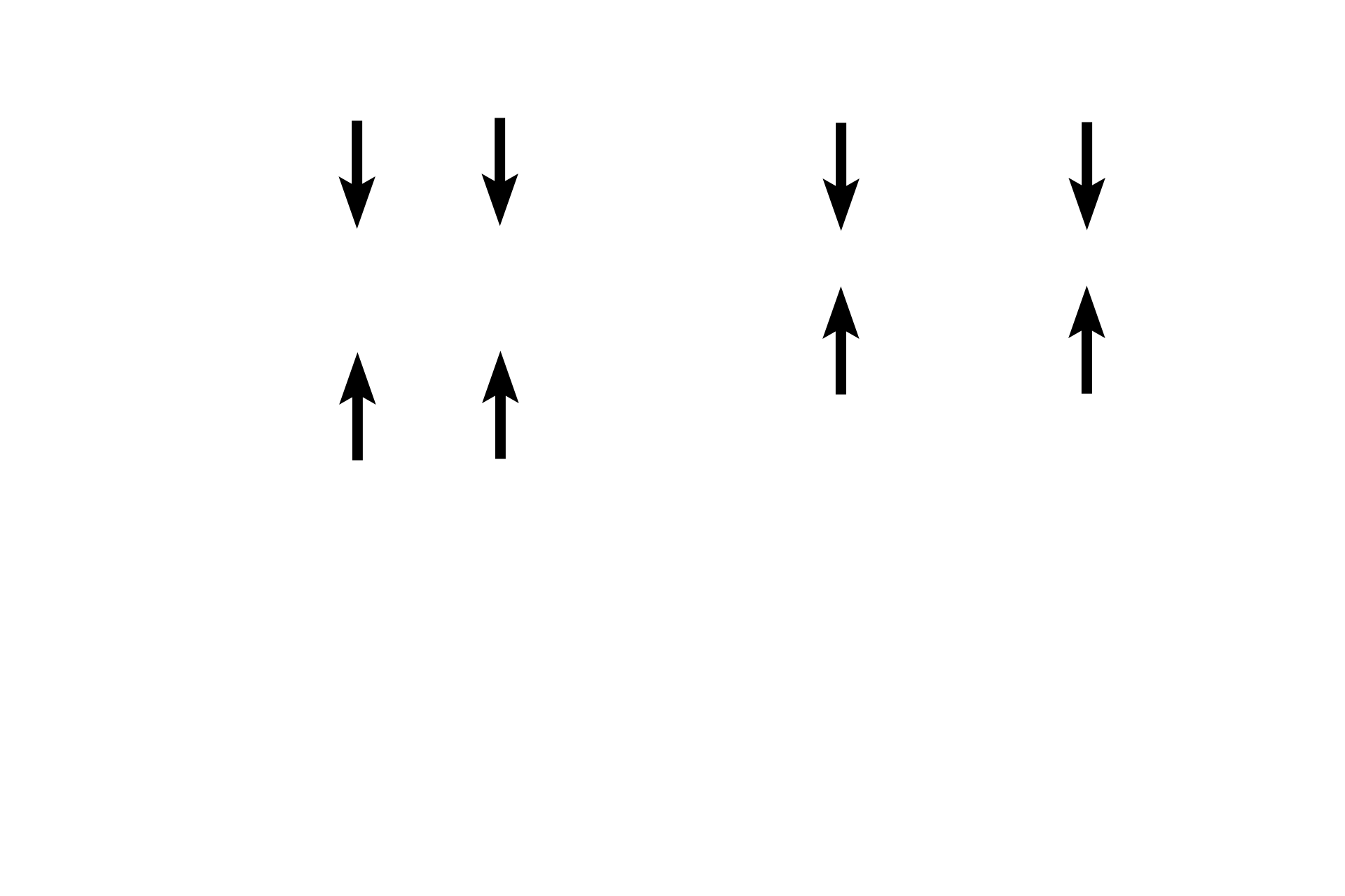 Epidermis > <p>The epidermis (between the black arrows) is composed of stratified squamous keratinized epithelium.  </p>
