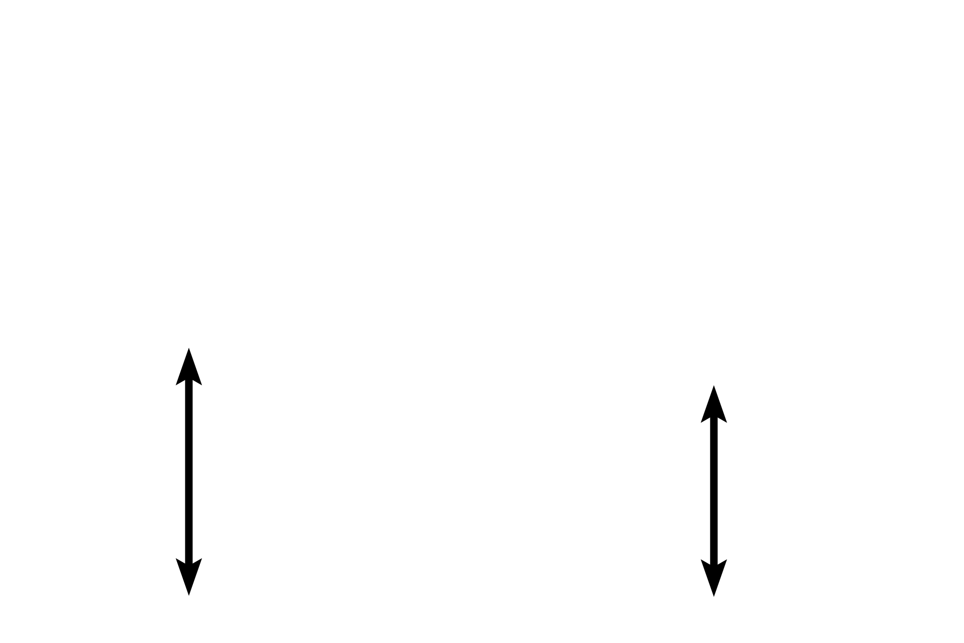 Hypodermis (subcutis) > <p>The hypodermis, or subcutaneous connective tissue, is not part of the skin, but lies beneath it. This layer is composed of loose connective tissue with areas of adipose connective tissue. Sweat glands and hair follicles may lie either deep in the dermis or in the hypodermis. The hypodermis is equivalent to the superficial fascia described in gross anatomy.</p>
