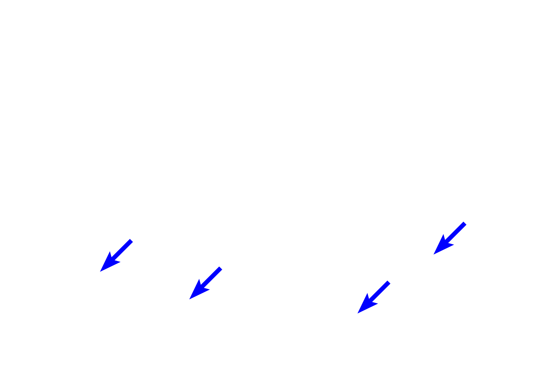 - Adipose connective tissue <p>The hypodermis, or subcutaneous connective tissue, is not part of the skin but lies beneath it. This layer is composed of loose connective tissue with areas of adipose connective tissue. Sweat glands and hair follicles may lie either deep in the dermis or in the hypodermis. The hypodermis is equivalent to the superficial fascia described in gross anatomy.</p>
