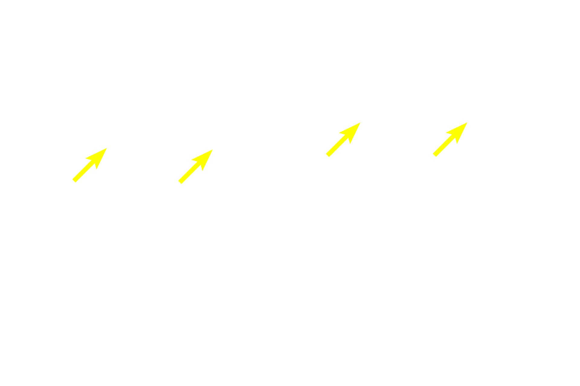  - Epidermal ridges (pegs) > <p>The basal layers of the epidermis form epidermal ridges or pegs, also called rete ridges and pegs.  This specialization increases the surface area for attachment to the underlying dermis.</p>
