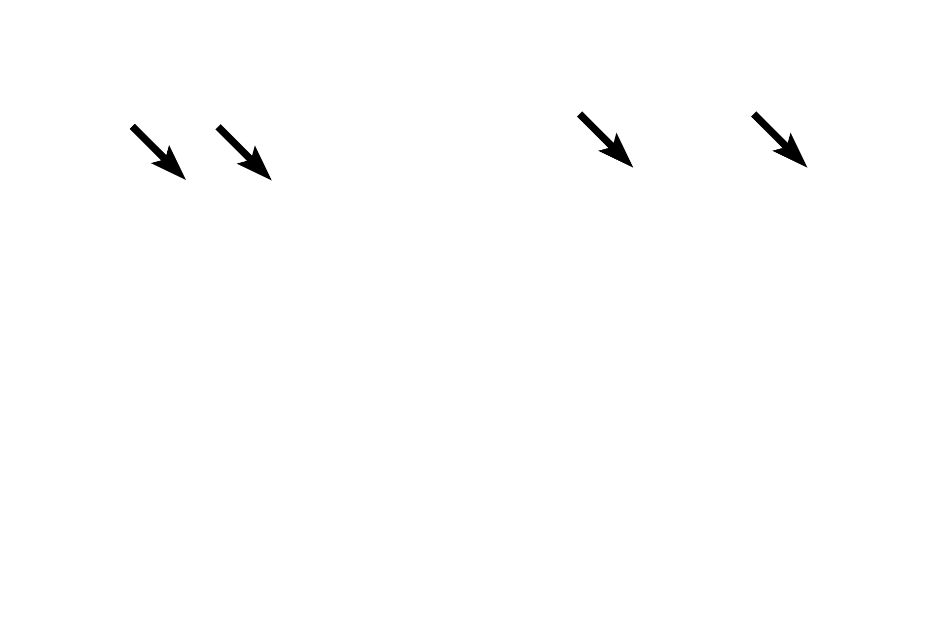  - Keratinized layer > <p>Epithelial cells of the skin, (keratinocytes) are programmed to produce keratin, which forms the outermost layer of the epidermis and serves as a waterproof, protective barrier for the body. The keratinized layer is much thicker in thick than in thin skin.</p>
