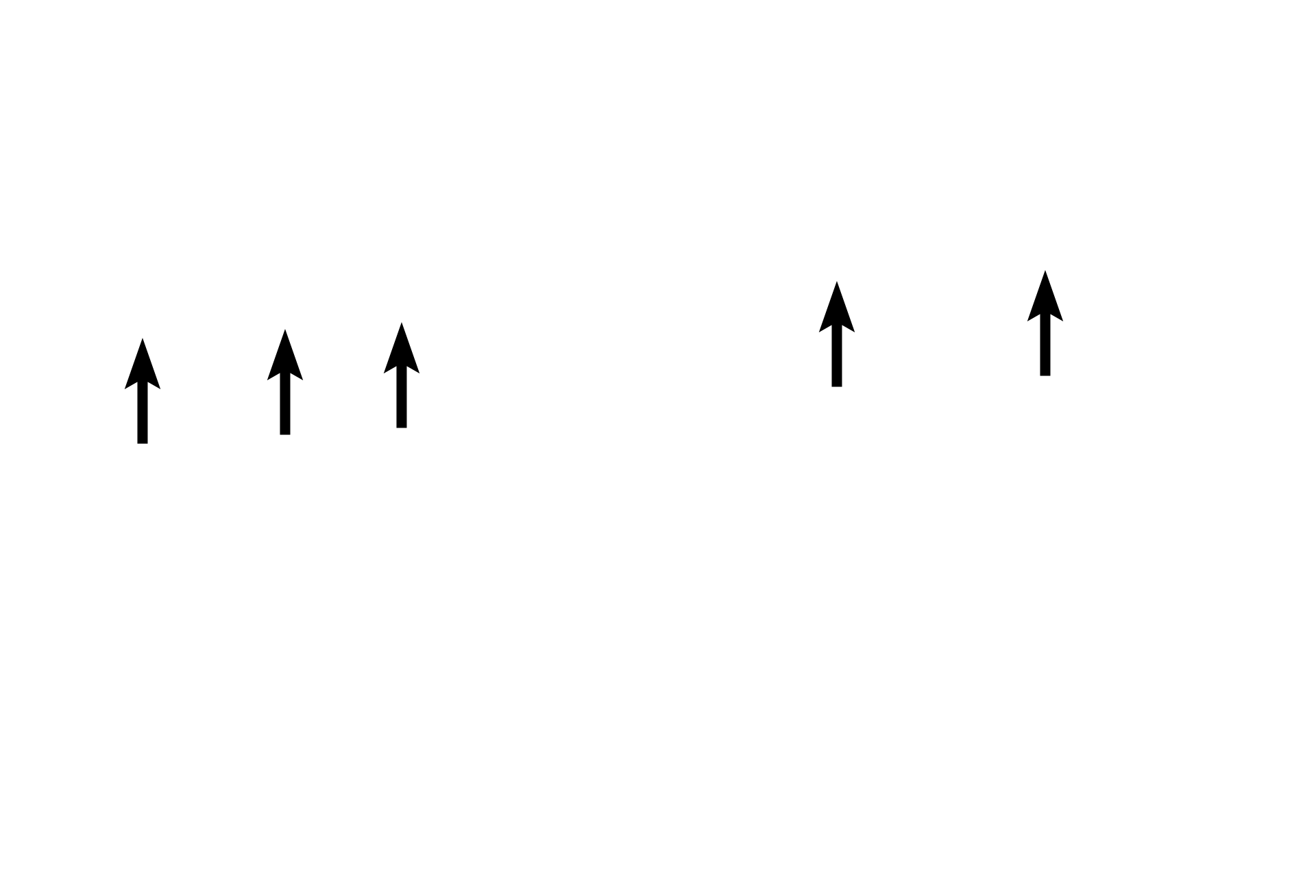  - Papillary layer of dermis > <p>The papillary layer of the dermis is composed of loose connective tissue and lies immediately beneath the epidermis. The papillary layer is highly vascularized, supplying itself as well as the epidermis, which is avascular. Extensions of the papillary layer, called dermal papillae, extend between the epidermal ridges/pegs (rete ridges/pegs) and contain blood vessels and fine-touch sensory receptors.</p>
