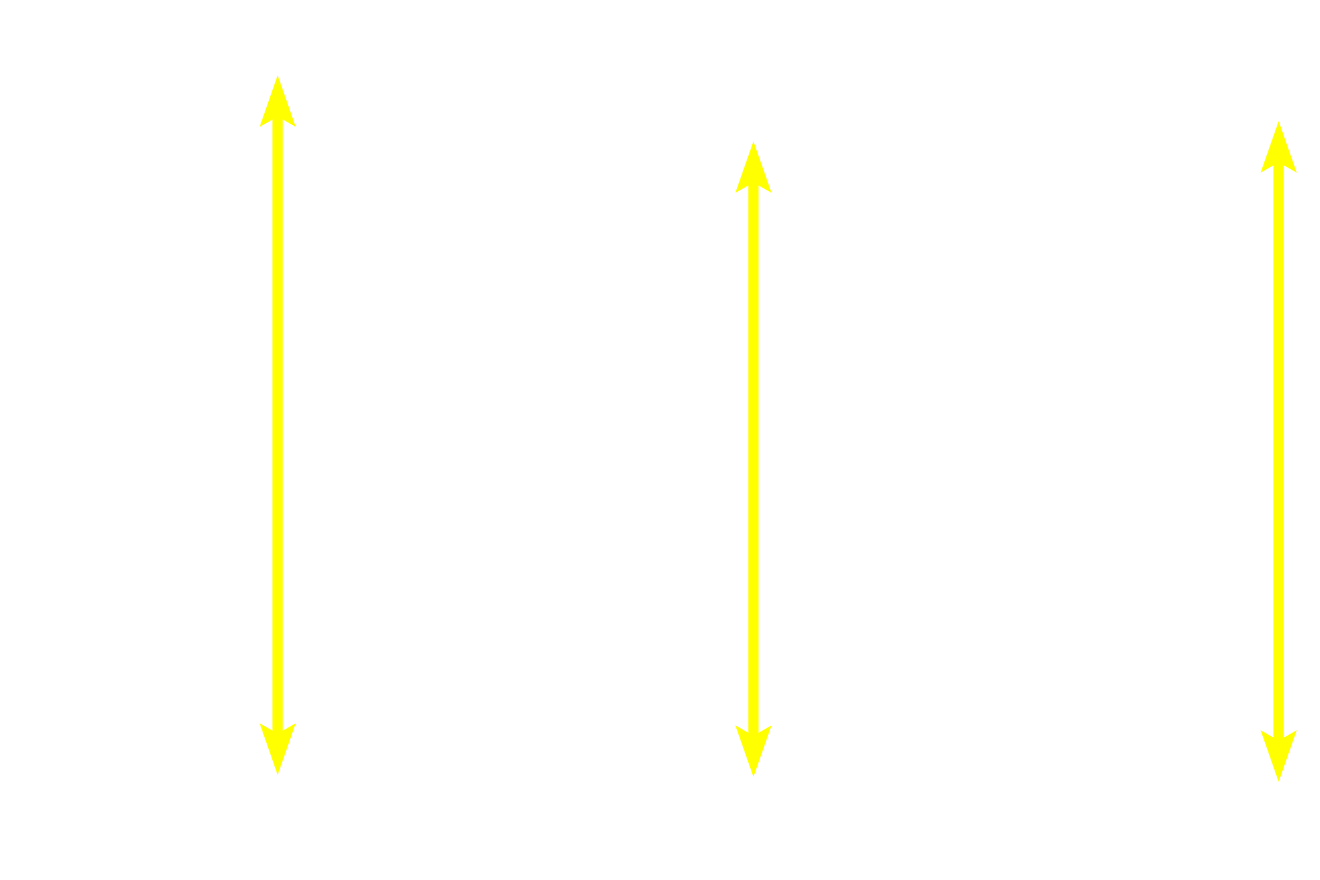 Epidermis <p>Skin can be classified as either thick or thin, depending on the thickness of the epidermal layer.  This image compares a diagrammatic representation of thick skin with a photomicrograph of a hematoxylin and eosin-stained section of primate skin.  200x</p>
