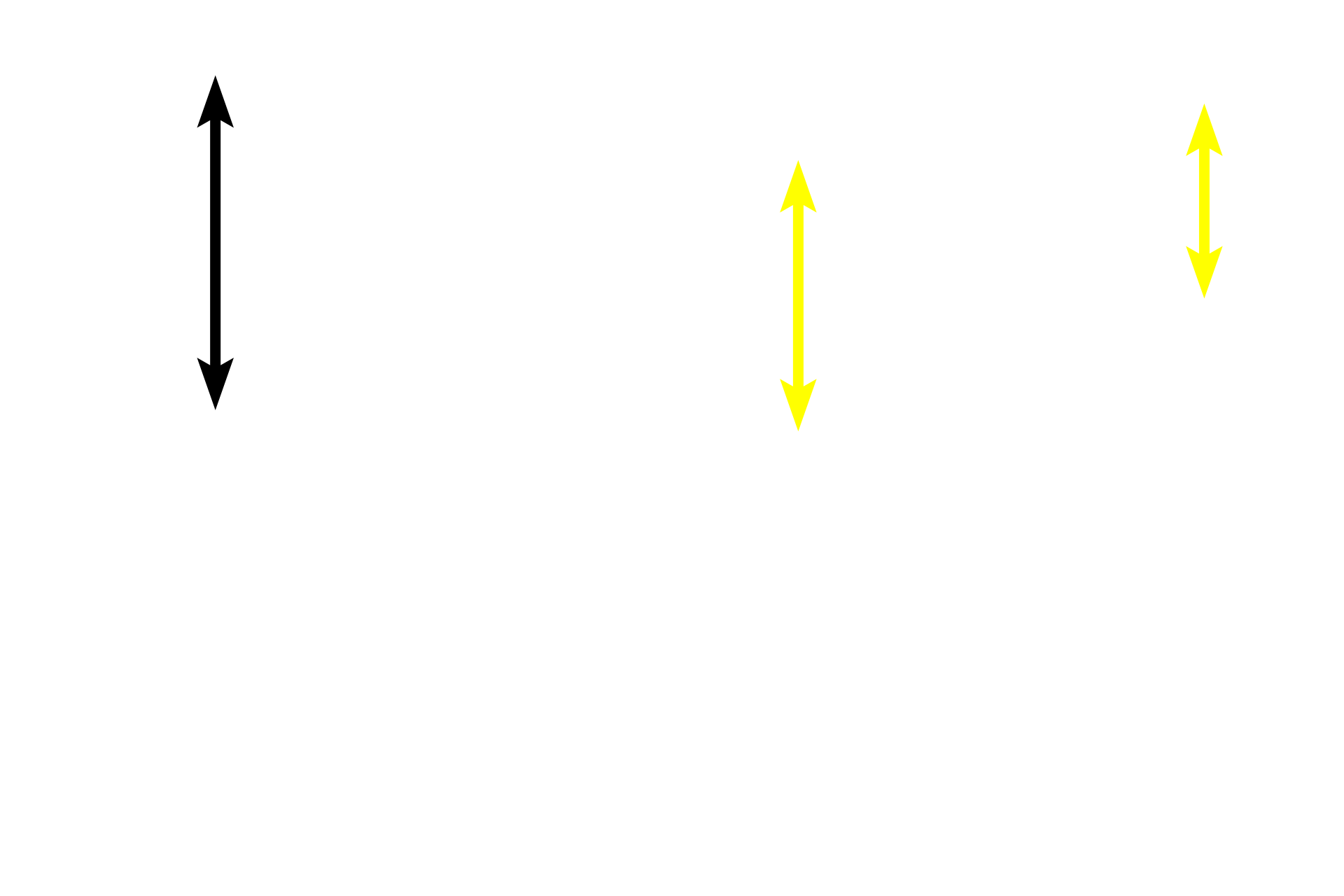  - Stratum corneum <p>Skin can be classified as either thick or thin, depending on the thickness of the epidermal layer.  This image compares a diagrammatic representation of thick skin with a photomicrograph of a hematoxylin and eosin-stained section of primate skin.  200x</p>
