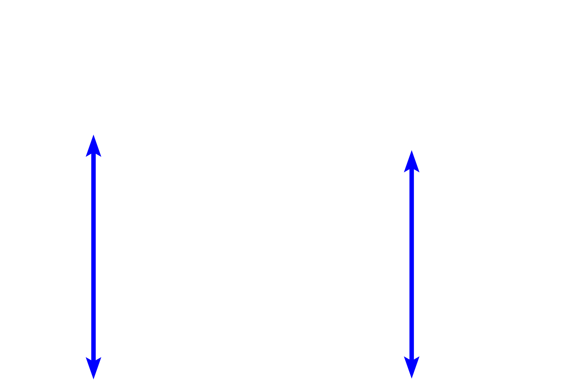 Dermis <p>Skin can be classified as either thick or thin, depending on the thickness of the epidermal layer.  A diagrammatic representation of thin skin and a photomicrograph of a H&E stained section illustrate the reduced thickness of the strata in thin skin and the absence of stratum lucidum as a distinct layer.  400x</p>

