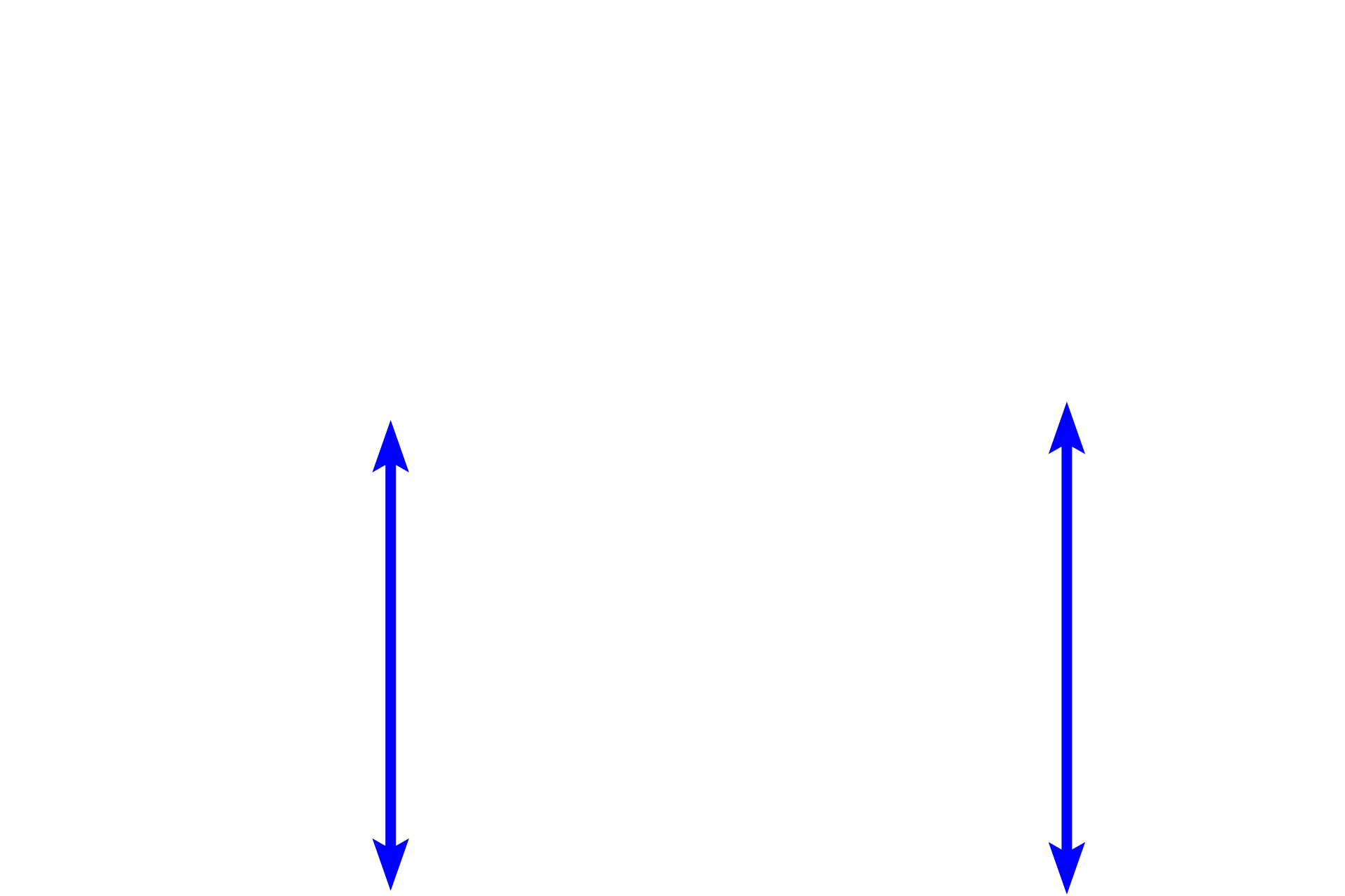  - Reticular layer of dermis <p>Skin can be classified as either thick or thin, depending on the thickness of the epidermal layer.  A diagrammatic representation of thin skin and a photomicrograph of a H&E stained section illustrate the reduced thickness of the strata in thin skin and the absence of stratum lucidum as a distinct layer.  400x</p>
