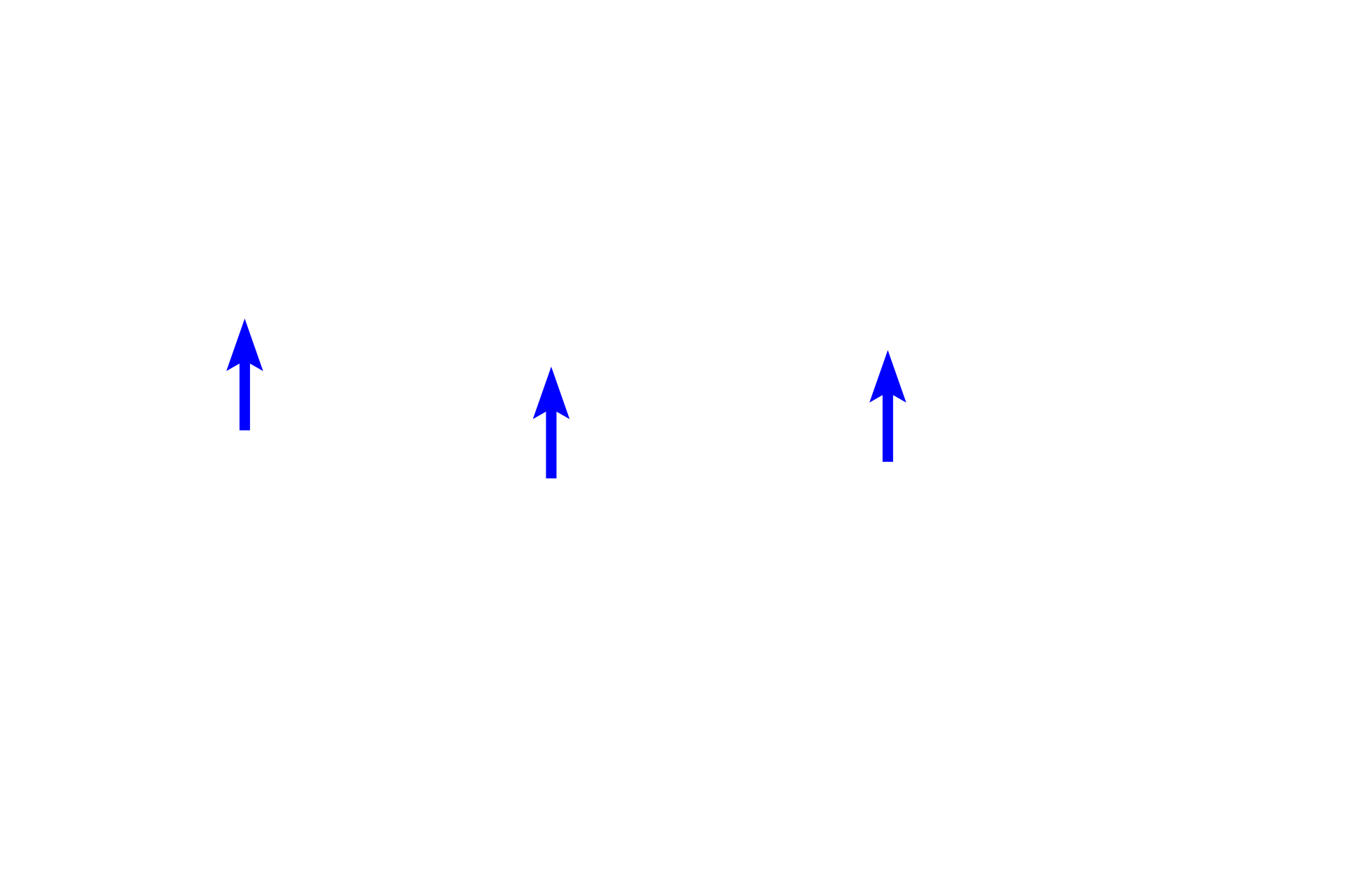  - Melanocytes <p>Skin can be classified as either thick or thin, depending on the thickness of the epidermal layer.  A diagrammatic representation of thin skin and a photomicrograph of a H&E stained section illustrate the reduced thickness of the strata in thin skin and the absence of stratum lucidum as a distinct layer.  400x</p>
