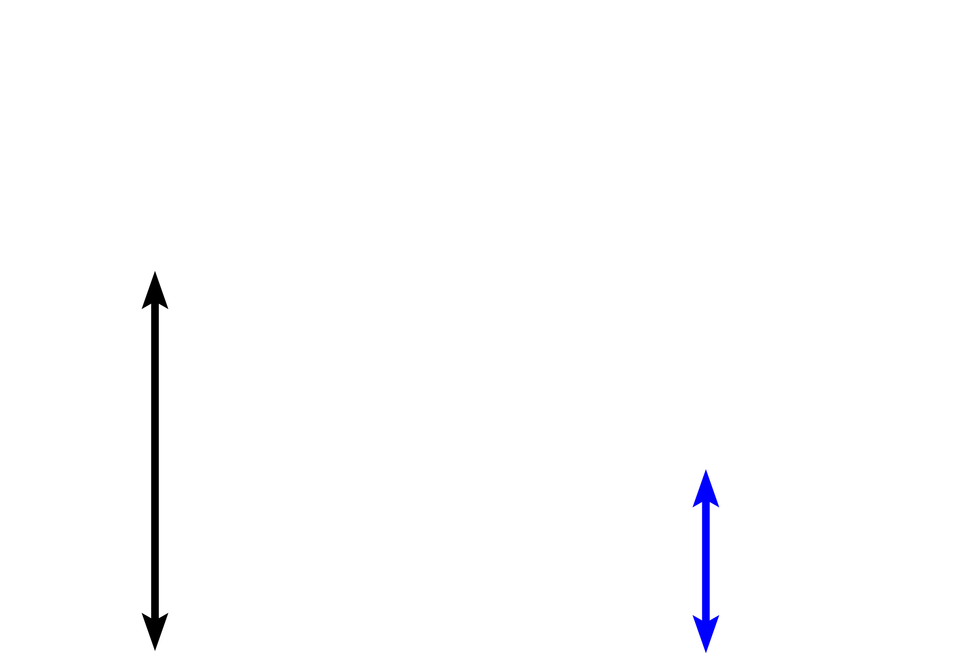 Dermis <p>A comparison of thick skin (left) and thin skin (right) shows that thick skin has a thick epidermis with well developed strata, while lacking hair follicles and sebaceous glands.  Thin skin, however, has a thin epidermis with proportionately reduced strata and no stratum lucidum; hair follicles and sebaceous glands are present.  Both types possess sweat glands.  200x, 400x</p>
