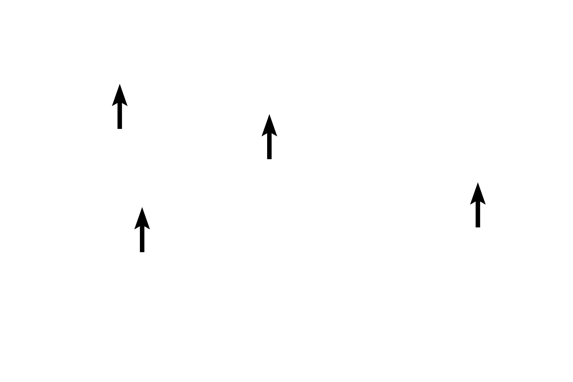  - Lamina propria > <p>The lamina propria is highly cellular and both a muscularis mucosae and submucosa are absent.  The muscularis externa consists of interlacing longitudinal, transverse and oblique smooth muscle fibers.</p>
