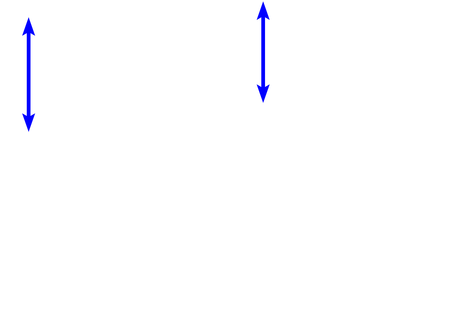 Portal canals <p>Bile, the exocrine liver product, is released into tiny tunnel-like passageways called bile canaliculi.  Canaliculi are located between the boundaries of adjacent hepatocytes and are continuous with bile ducts in the hepatic portal canals.  Bile drains from the canaliculus to the bile duct, passing through an enlarging duct system and finally opening into the duodenum.  The right image shows a preparation where the bile duct system has been injected with dye.  800x, 800x</p>
