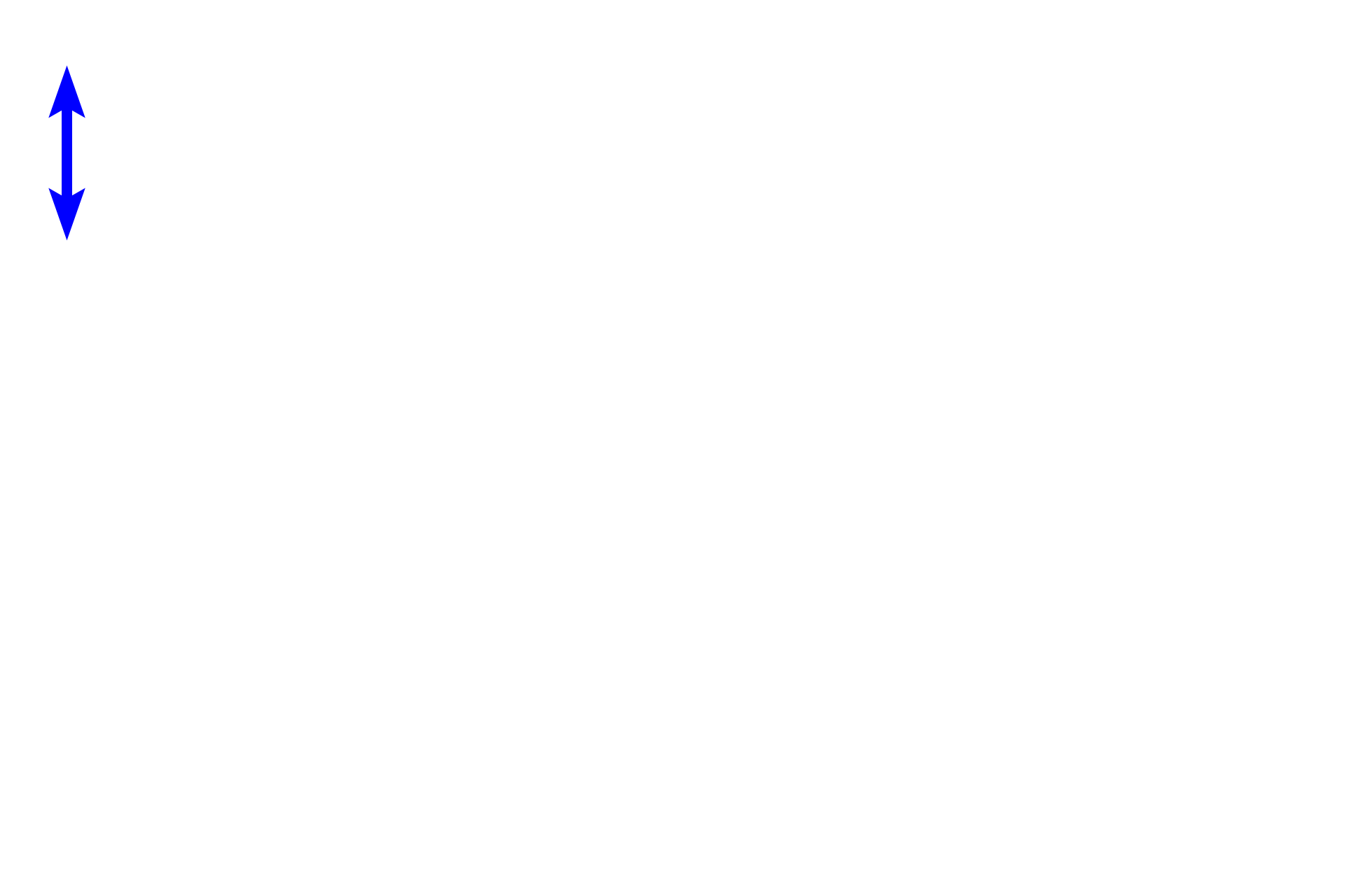  - Hepatic portal vein <p>Bile, the exocrine liver product, is released into tiny tunnel-like passageways called bile canaliculi.  Canaliculi are located between the boundaries of adjacent hepatocytes and are continuous with bile ducts in the hepatic portal canals.  Bile drains from the canaliculus to the bile duct, passing through an enlarging duct system and finally opening into the duodenum.  The right image shows a preparation where the bile duct system has been injected with dye.  800x, 800x</p>
