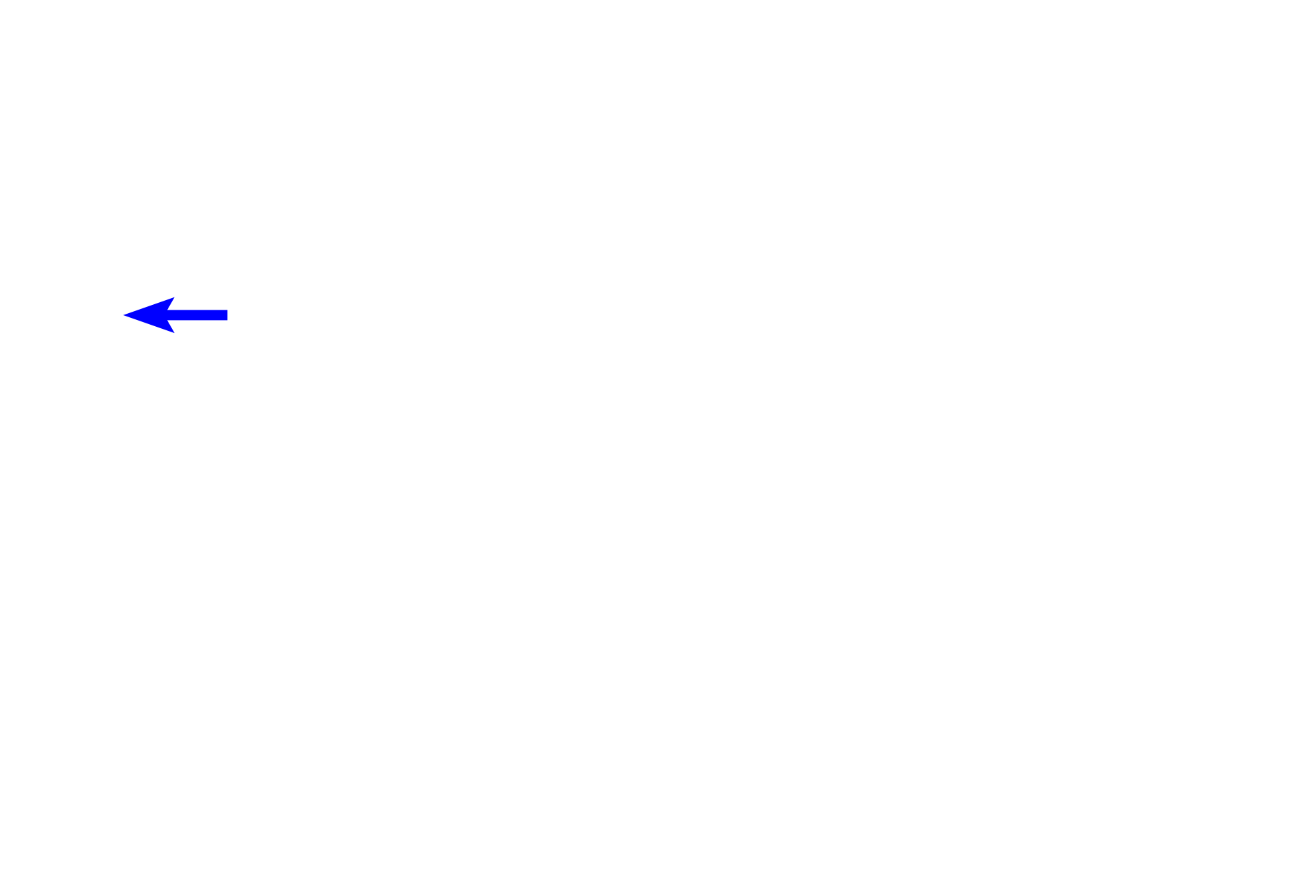  - Bile duct <p>Bile, the exocrine liver product, is released into tiny tunnel-like passageways called bile canaliculi.  Canaliculi are located between the boundaries of adjacent hepatocytes and are continuous with bile ducts in the hepatic portal canals.  Bile drains from the canaliculus to the bile duct, passing through an enlarging duct system and finally opening into the duodenum.  The right image shows a preparation where the bile duct system has been injected with dye.  800x, 800x</p>
