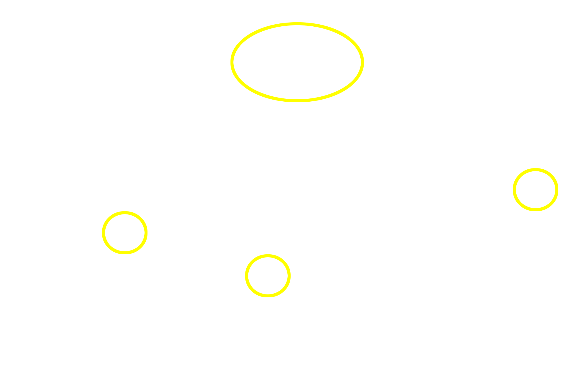 Portal canals <p>The classic liver lobule is more clearly demarcated by connective tissue in a pig than in the human.  Blood enters the liver in the hepatic portal vein or hepatic artery; branches of both vessels are located in a portal canal.  From these branches, blood enters hepatic sinusoids between plates of hepatocytes and is carried into the central vein.  Bile is produced by the hepatocytes and flows in bile canaliculi toward the periphery of the lobule where it enters branches of the bile duct.  100x</p>
