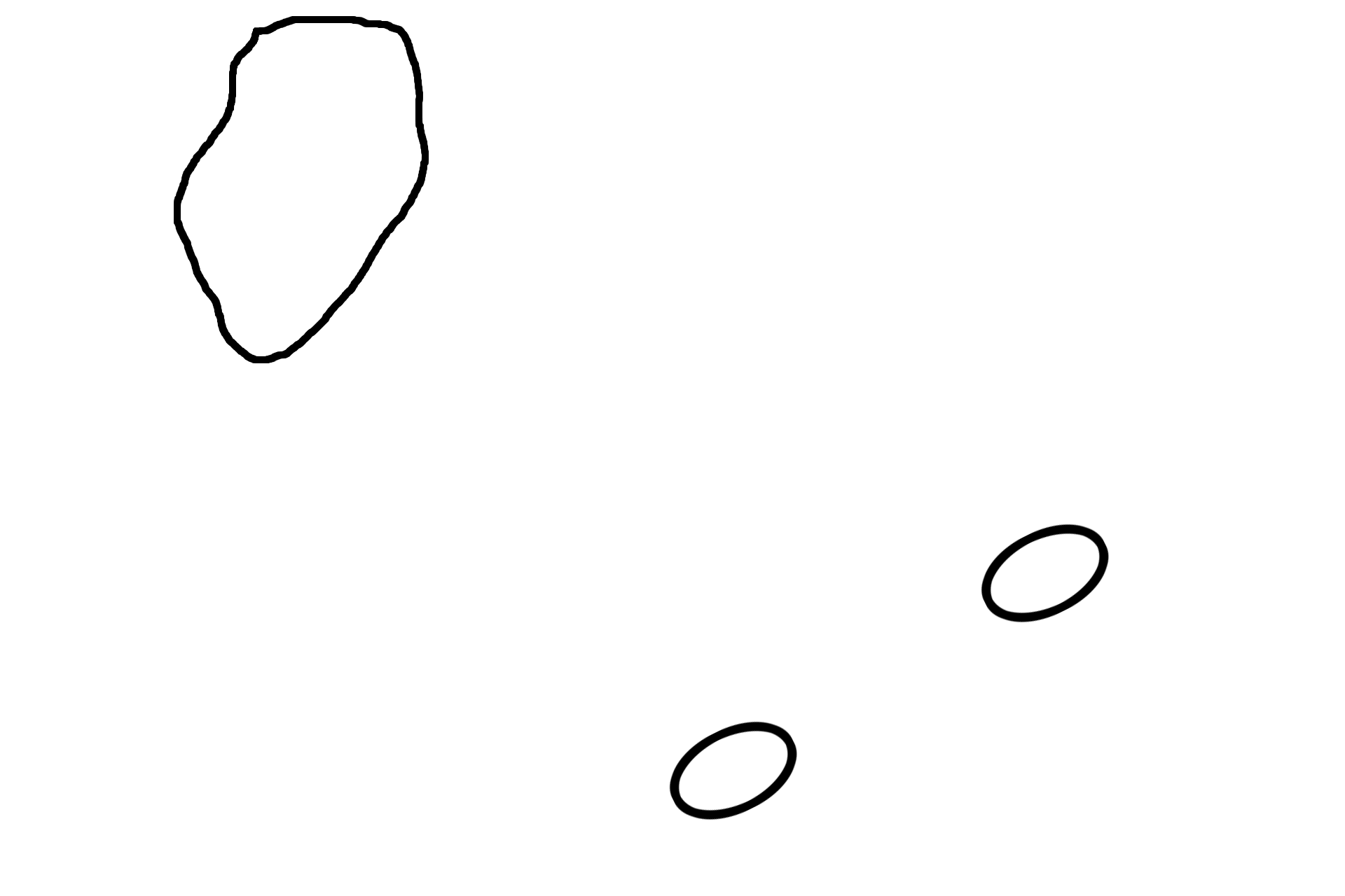 Portal canals <p>Connective tissue partitions surrounding lobules are minimal in primates, shown here, making lobules and portal canals more difficult to distinguish.  100x</p>
