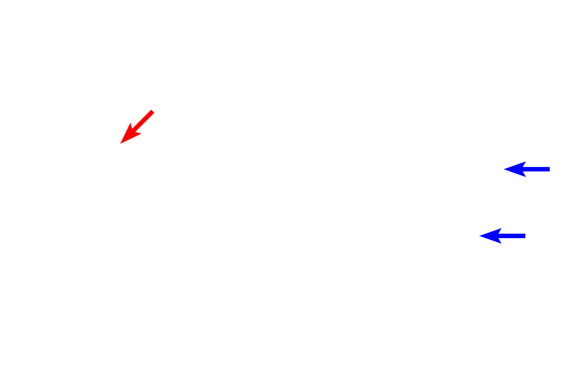 Hepatic arteries > <p>The liver has a dual blood supply.  The hepatic artery carries oxygenated blood.  The larger hepatic portal vein supplies a much greater volume of blood that is low in oxygen but high in nutrients; this blood comes directly from capillary beds located primarily in digestive organs.  Blood flows from branches of these two vessels in the portal canal into liver sinusoids and then to the central vein.</p>
