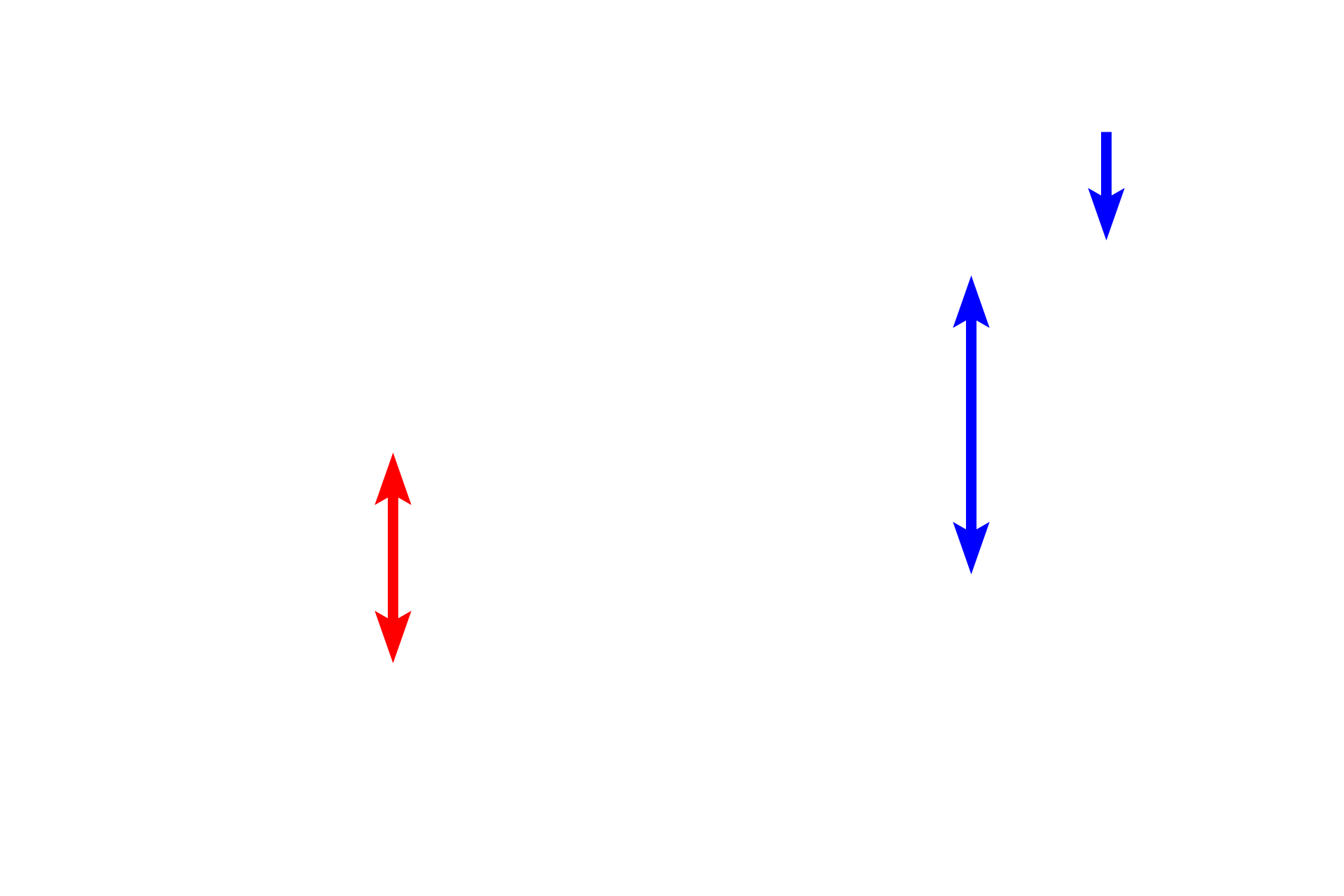 Hepatic portal veins <p>The liver has a dual blood supply.  The hepatic artery carries oxygenated blood.  The larger hepatic portal vein supplies a much greater volume of blood that is low in oxygen but high in nutrients; this blood comes directly from capillary beds located primarily in digestive organs.  Blood flows from branches of these two vessels in the portal canal into liver sinusoids and then to the central vein.</p>
