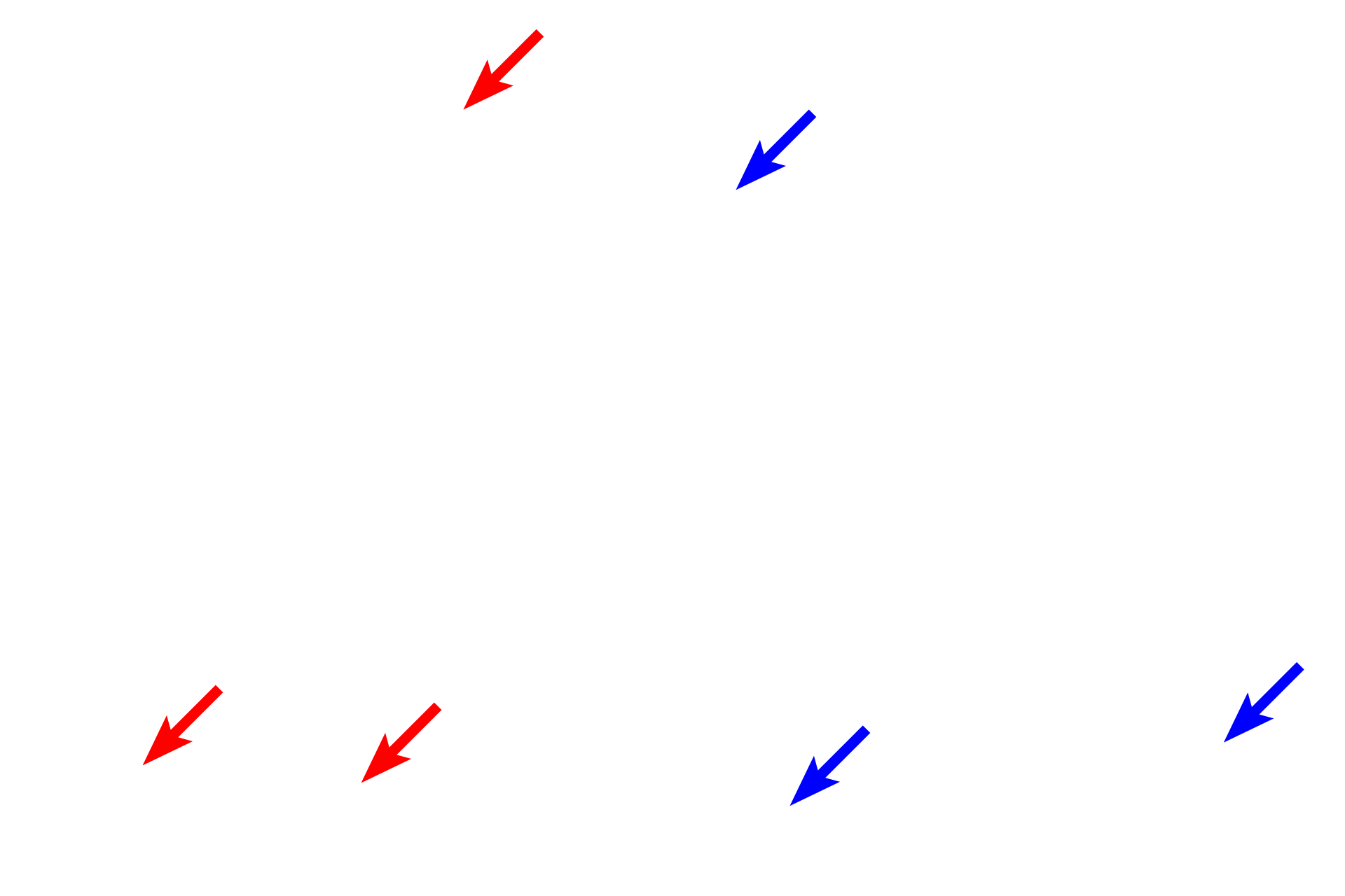 Liver sinusoids > <p>Sinusoids, discontinuous capillaries, are located between cords of hepatocytes.  Bidirectional exchange between the blood and the hepatocytes occurs as sinusoids transport blood from the hepatic portal vein and portal artery toward the central vein.  A sinusoid is visible exiting from the portal canal in the lower right portion of the left image.</p>
