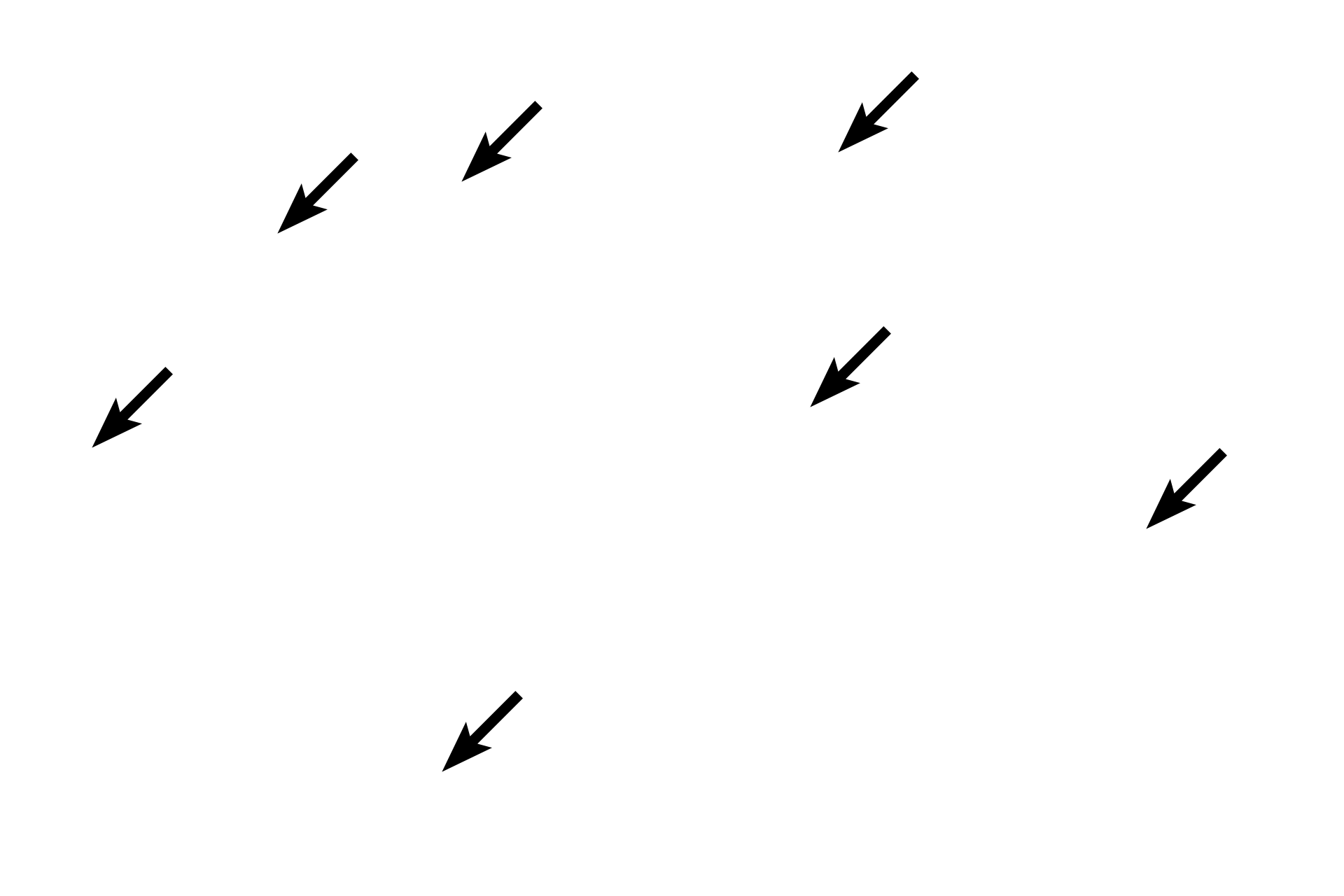 Sinusoids <p>A central vein is located at the center of a classic liver lobule.  Blood from the hepatic portal vein and hepatic artery in the portal triad percolates through the sinusoids of a lobule and empties into its central vein.  The entrances of several sinusoids into the central vein are visible.  400x</p>
