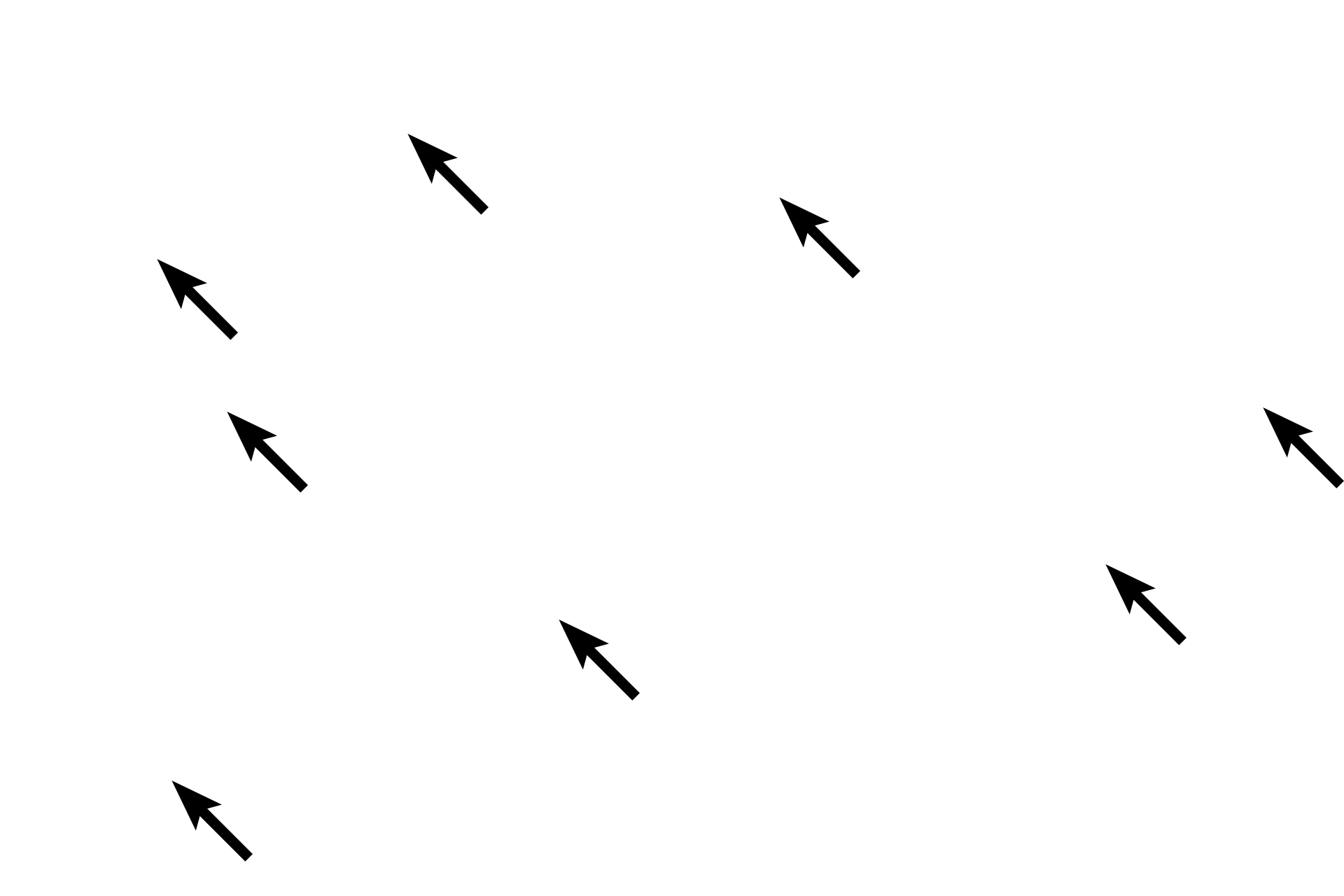 Hepatocytes <p>A central vein is located at the center of a classic liver lobule.  Blood from the hepatic portal vein and hepatic artery in the portal triad percolates through the sinusoids of a lobule and empties into its central vein.  The entrances of several sinusoids into the central vein are visible.  400x</p>
