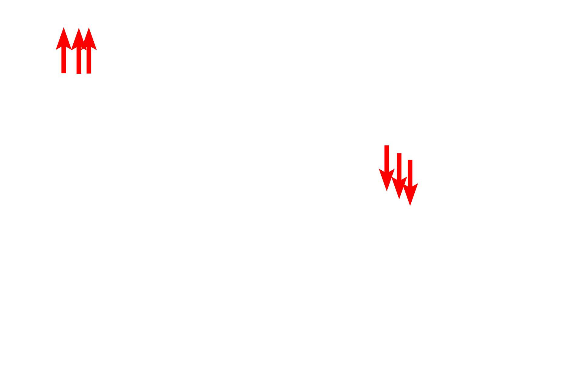 - Fenestrations <p>Because the islets of Langerhans are endocrine cell clusters, they are supplied by fenestrated capillaries.  A fenestrated capillary lies adjacent to an endocrine secretory cell.  10,000x</p>
