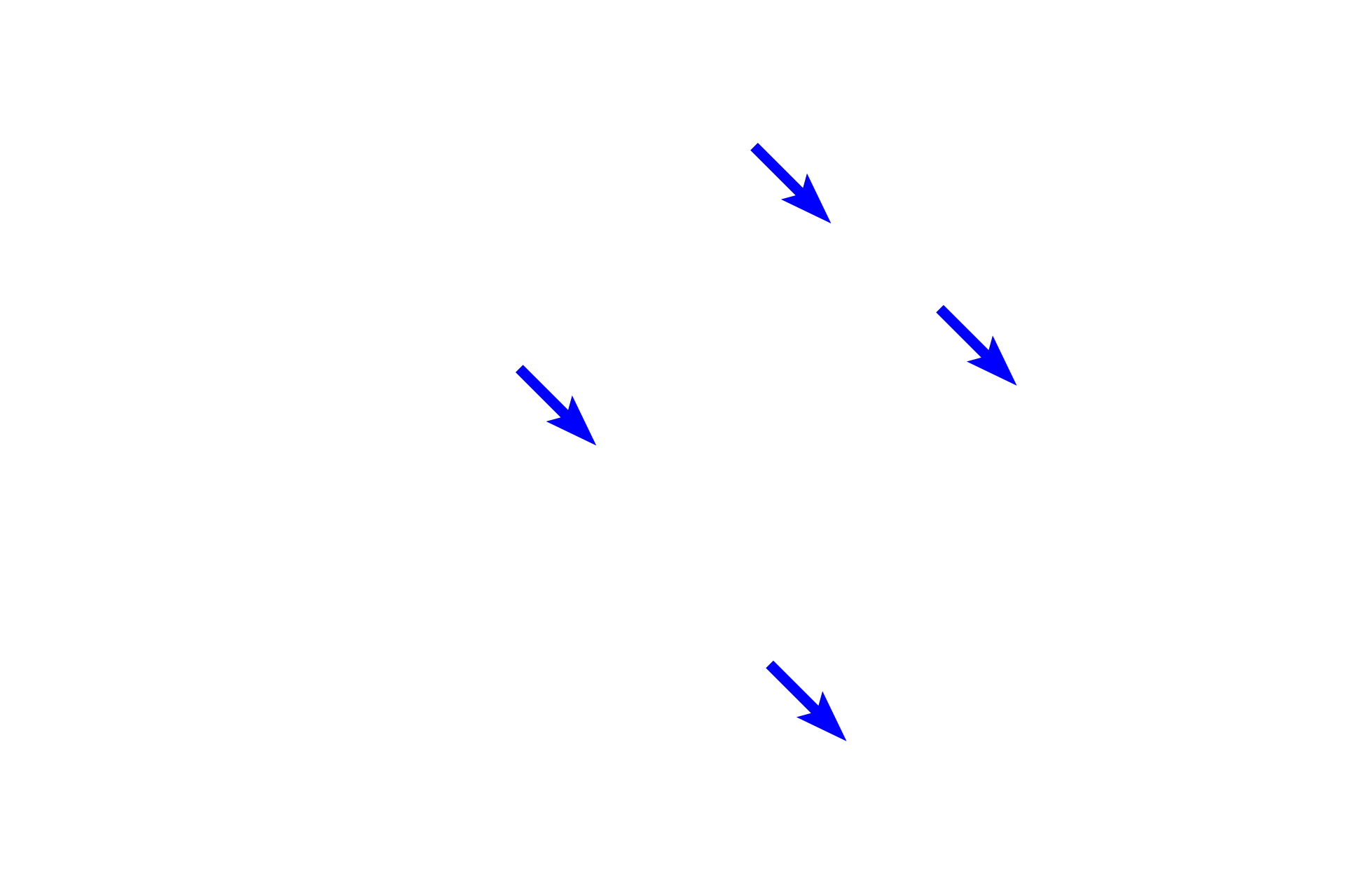  - Secretory granules <p>An acinus cut in cross section resembles a grapefruit cut in half.  Each grapefruit section represents an acinar cell; the central core of the grapefruit corresponds to the small lumen of the acinus into which the secretory product is released.  1000x</p>
