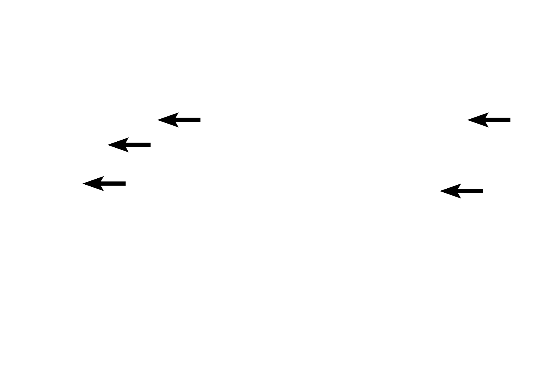  - Dermal papillae <p>The vermilion zone is lined by a thick keratinized, stratified squamous epithelium and hair follicles are lacking.  The numerous, densely packed dermal papillae of the lamina propria allow blood vessels close access to the surface, imparting a red color to this zone.  The image on the right shows these details at higher magnification 100x, 400x</p>
