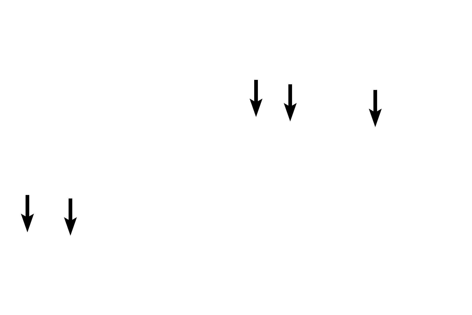  - Ducts of labial glands > <p>The ducts of labial glands empty into the vestibule of the oral cavity.</p>
