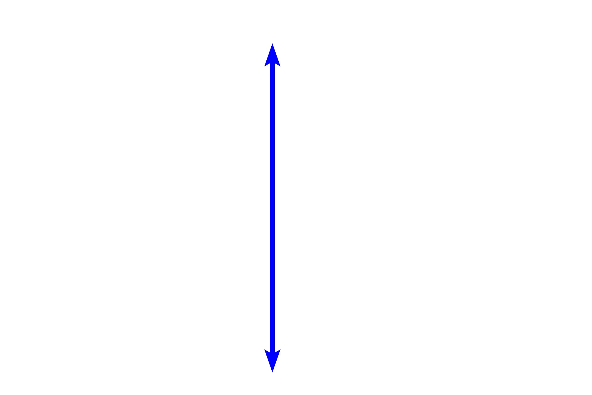 Labial gland <p>The minor salivary glands of the lip, also called labial glands,  produce both serous and mucous secretions; their ducts empty into the vestibule of the oral cavity.  The epithelium and surface of the inner lip lie above this image.  These glands are located in the submucosa near the fibers forming the orbicularis oris muscle.  100x</p>
