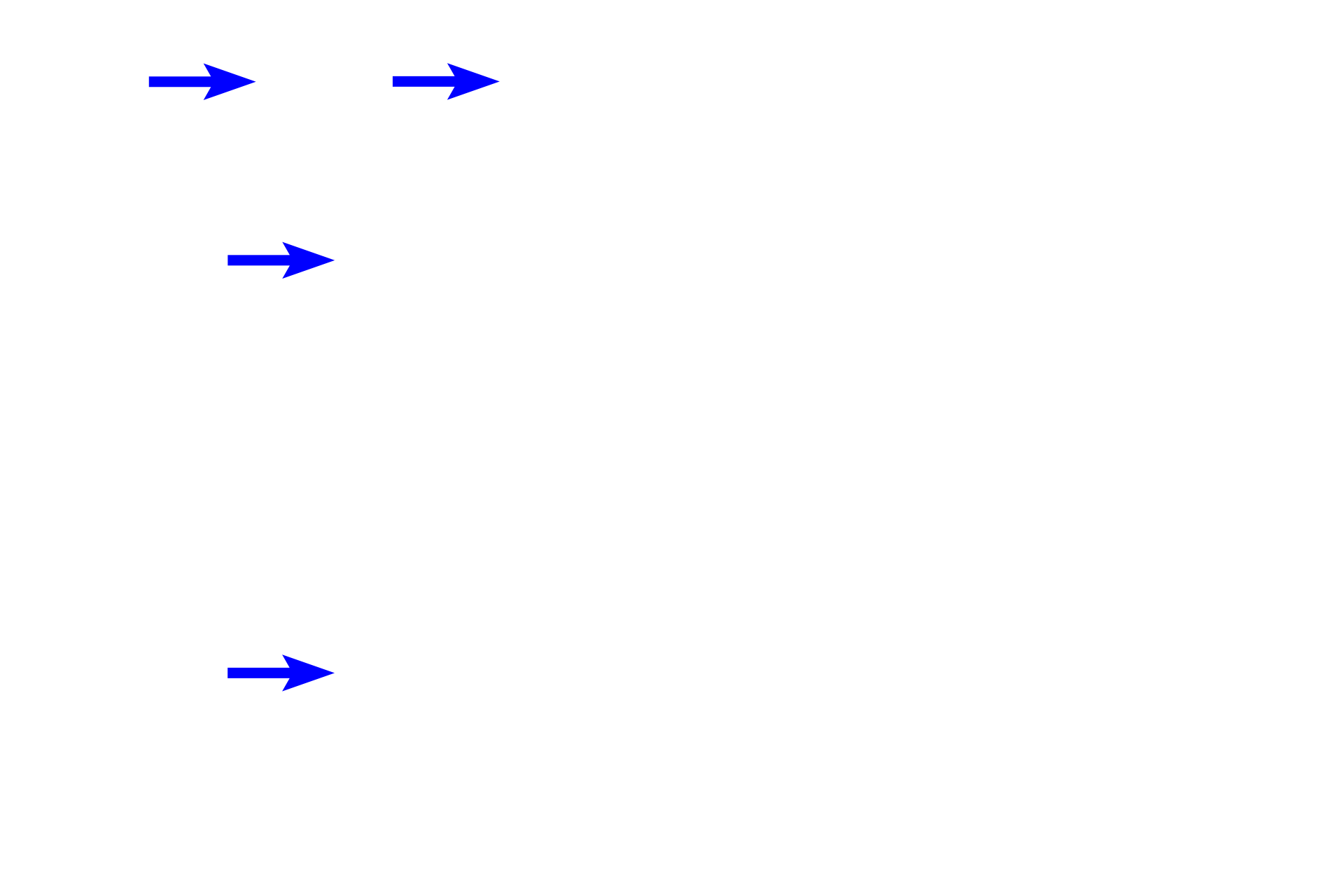 Orbicularis oris muscle fibers <p>The minor salivary glands of the lip, also called labial glands,  produce both serous and mucous secretions; their ducts empty into the vestibule of the oral cavity.  The epithelium and surface of the inner lip lie above this image.  These glands are located in the submucosa near the fibers forming the orbicularis oris muscle.  100x</p>
