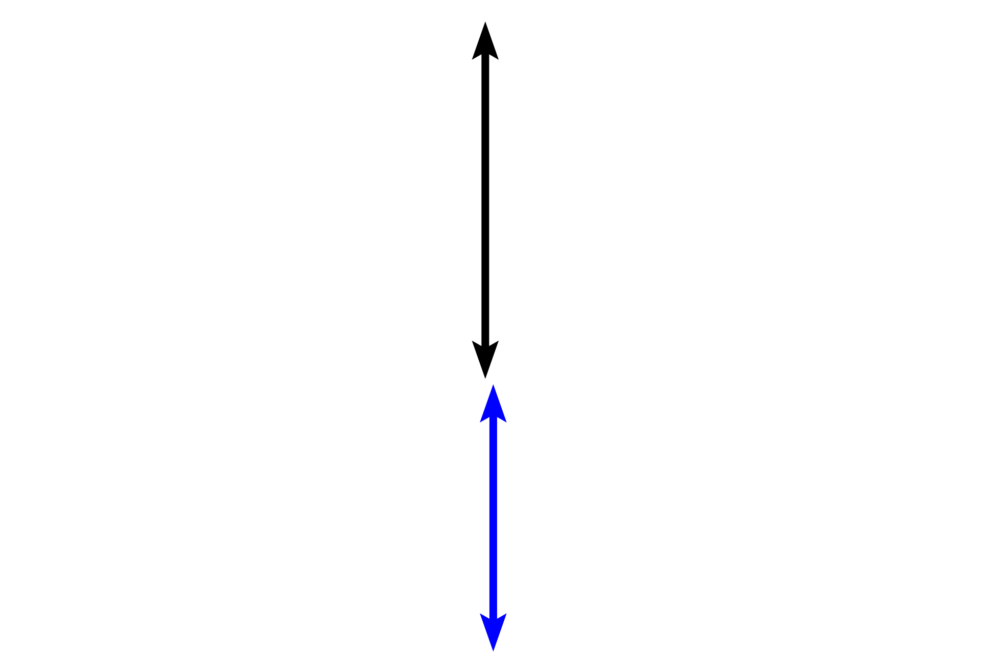 Masticatory mucosa > <p>Masticatory mucosa lines the gingiva and hard palate, areas that undergo abrasive forces during mastication.  The epithelium (black arrow) is stratified squamous, either para- or orthokeratinized.  Parakeratinzed, seen here, does not fully keratinize, producing surface cells that retain pyknotic nuclei.  Orthokeratinized fully keratinizes with flattened squames of dead cells at the surface.  A lamina propria (blue arrow) underlies the epithelium.</p>
