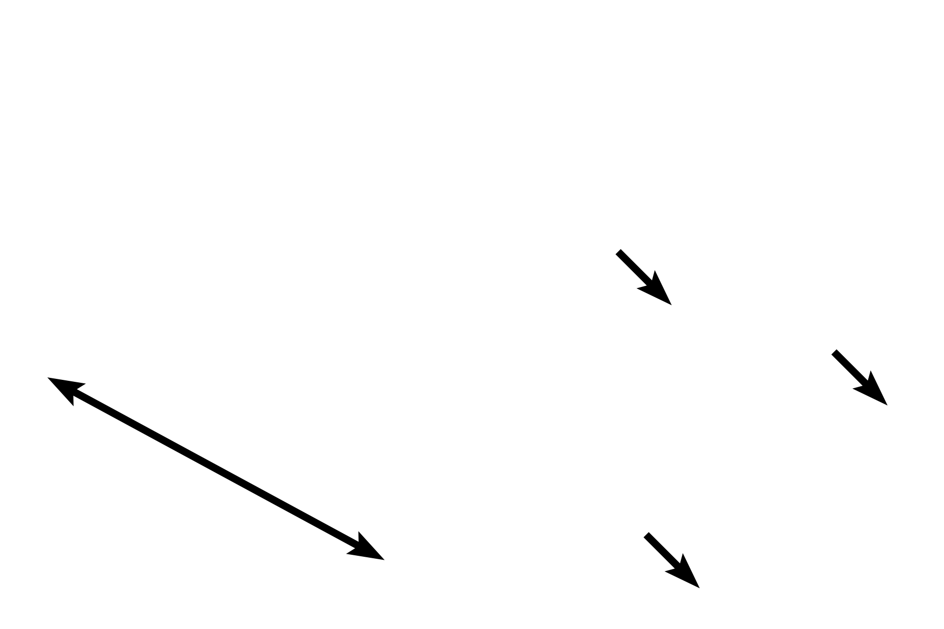 Minor salivary glands <p>Lining mucosa lines all of the oral cavity except the gingiva, hard palate, and the dorsum of the tongue.  It is composed of stratified squamous moist epithelium and its underlying lamina propria; a muscularis mucosae is lacking.  A submucosa lies beneath the mucosa and usually contains the minor salivary glands (mixed glands).  100x</p>
