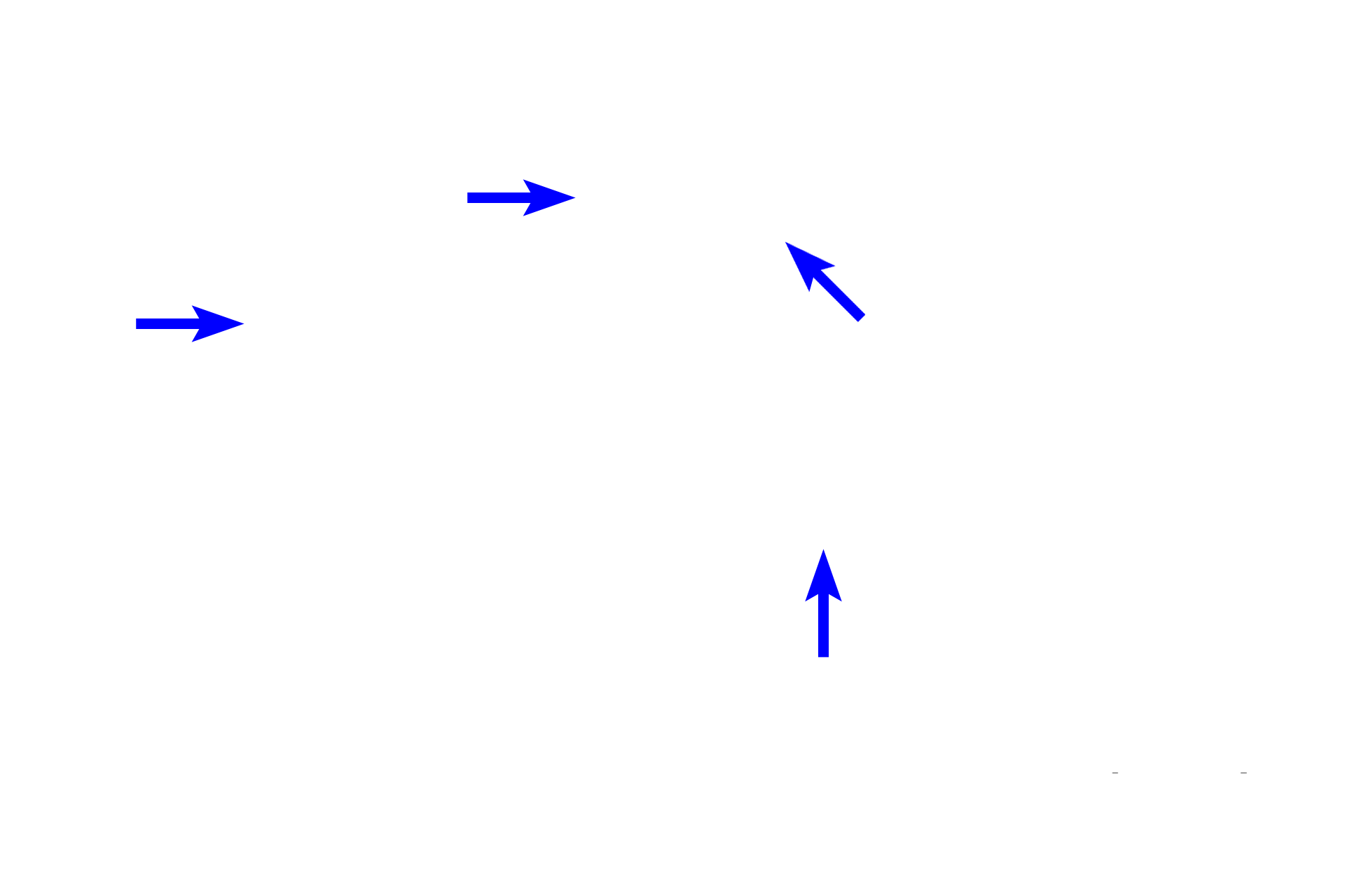 Connective tissue septa <p>A capsule surrounds each gland, extending interlobular, connective tissue septa into the gland, forming lobules.  A lobule is a cluster of secretory units and the ducts that drain them.   An intralobular duct leaves one lobule and anastomoses with ducts from adjacent lobules to form interlobular ducts.  Interlobular ducts, in turn, combine to form excretory, or main, duct(s) of the gland.</p>
