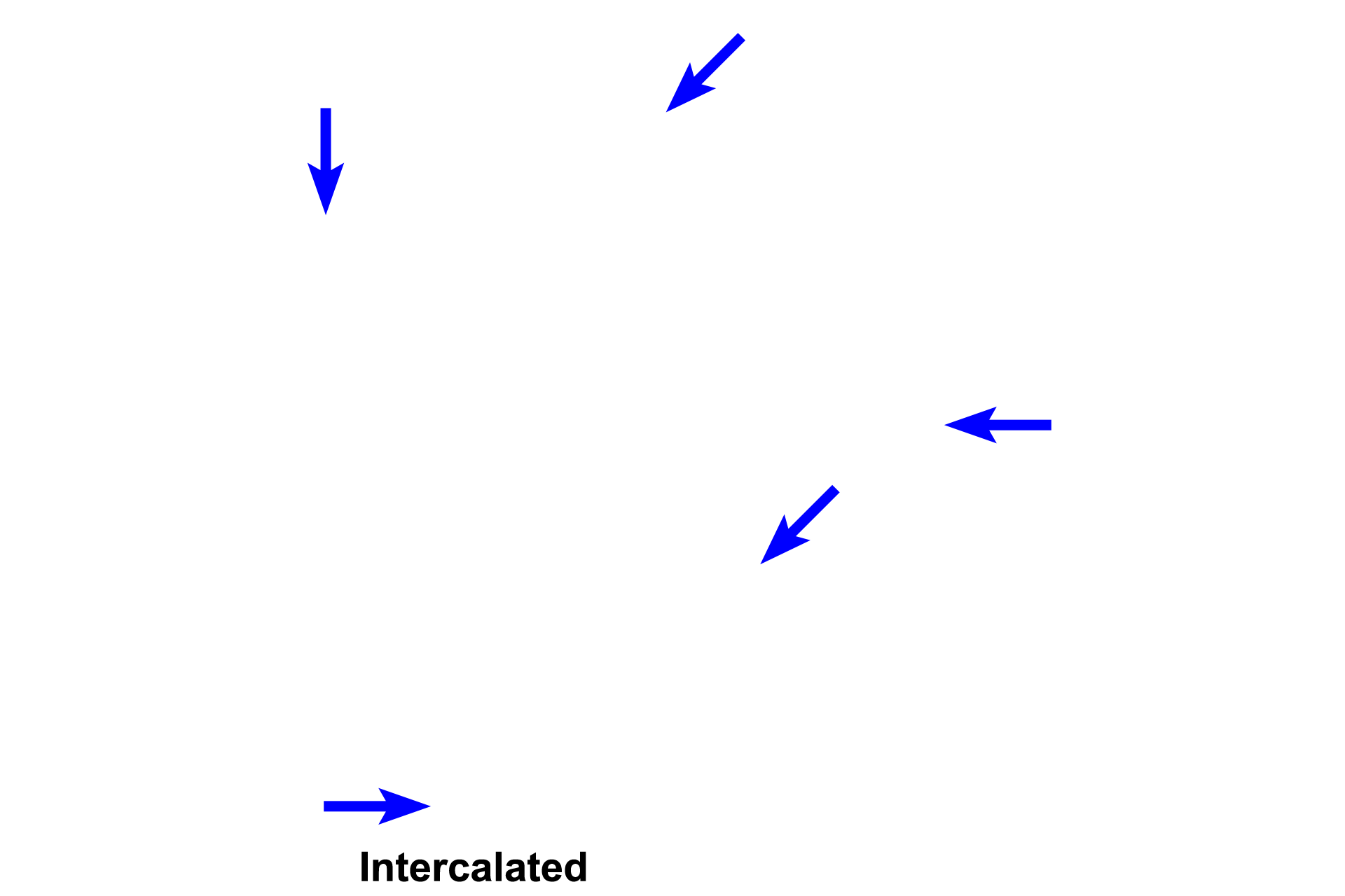 Intercalated ducts > <p>Intralobular ducts lie within lobules.  The smallest intralobular ducts, intercalated ducts, drain secretory units and are smaller in diameter than acini.  They are lined by simple cuboidal epithelium.  In addition to transporting secretory product, these ducts secrete bicarbonate ions into saliva as well as absorbing chloride ions.</p>
