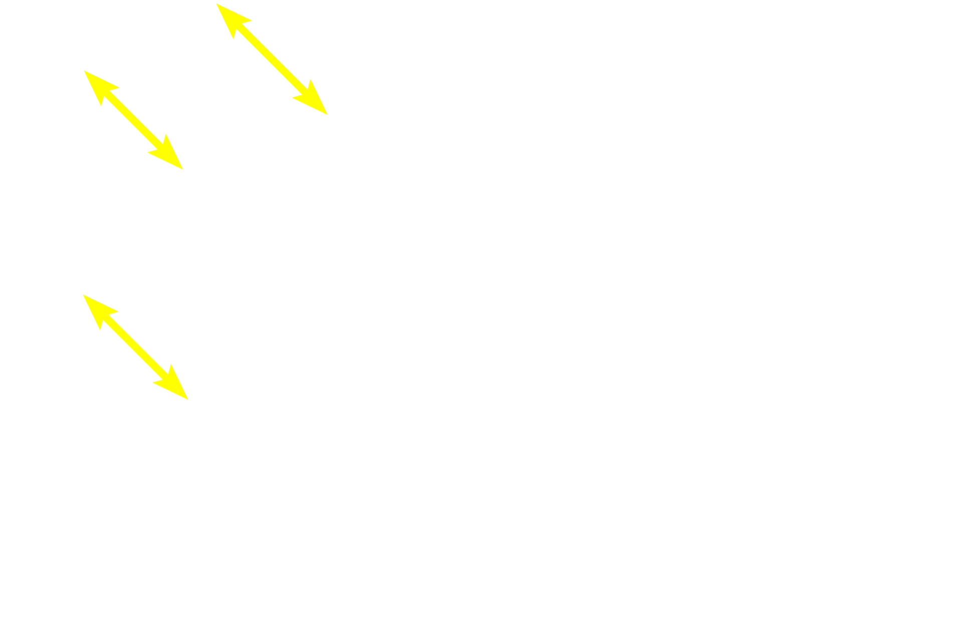 Striated ducts <p>The submandibular gland possesses both serous acini and mucous tubules.  The tubules are pale staining and the cells secrete mucus.  Acini stain more intensely because of the numerous secretory granules they contain.  An intercalated duct with a simple cuboidal epithelium and a striated duct with a simple columnar epithelium are present.  200x</p>
