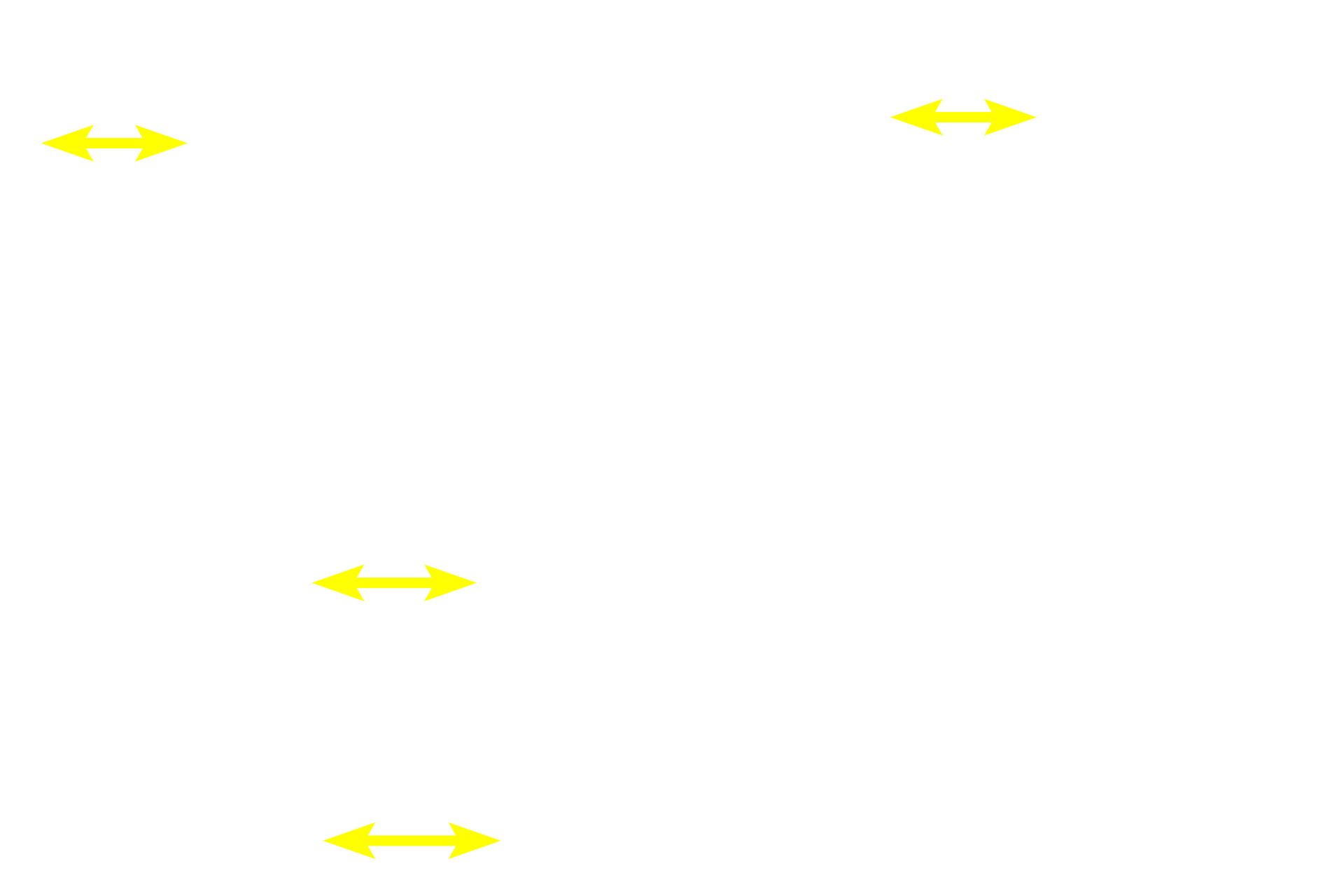 Serous acini <p>The difference in staining qualities between serous acini and mucous tubules is obvious.  Mucous tubules are elongated and stain palely due to the frothy, mucus content of the tubule cells.  In contrast, the cytoplasm of the serous acinar cells stains darkly, reflecting their numerous secretory granules.  No ducts are visible here.  400x</p>
