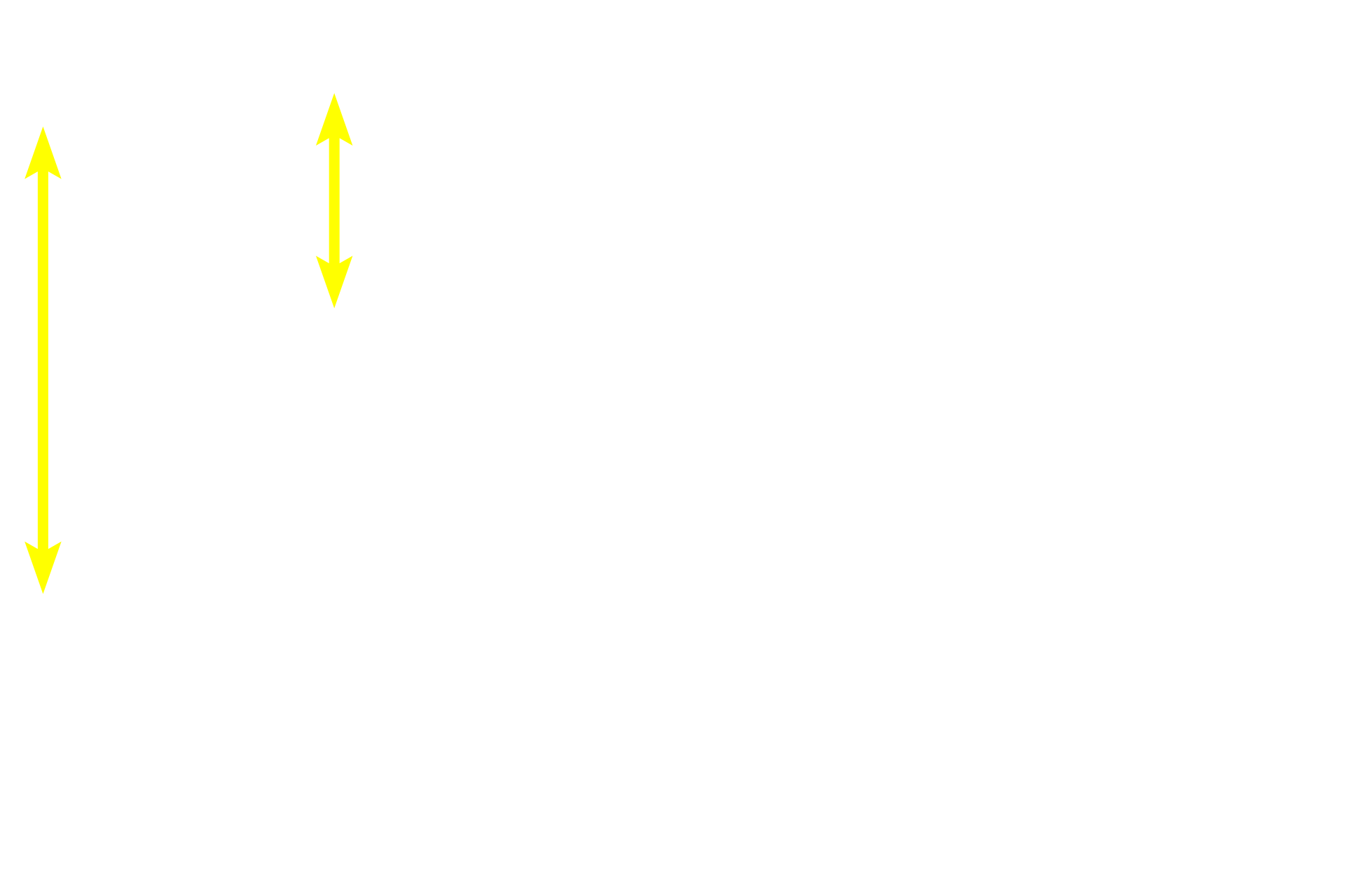 Serous acini > <p>Serous-secreting acini stain more intensely than do the tubules.  Acini resemble grapefruits cut in cross section, with each grapefruit wedge representing an individual cell.  Secretory granules fill the apex of each cell, lying adjacent to the acinar lumen into which they will be released.  The lumen of each acinus is smaller than that of a tubule.</p>
