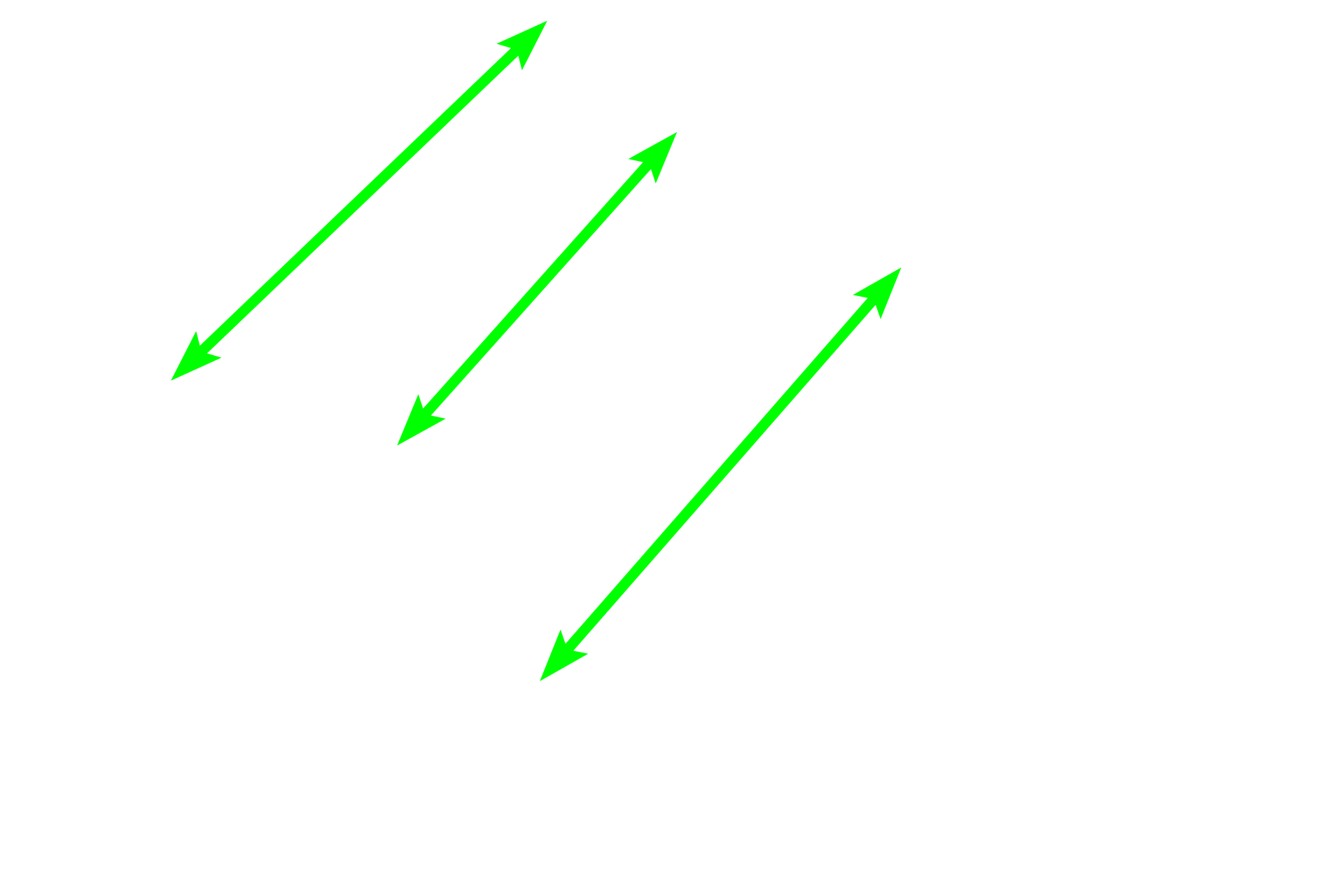 Mucous tubules <p>Both serous and mucous secretory cells are present, with mucous cells predominating.  The tubular configuration of the mucous cells is readily apparent.  600x</p>

