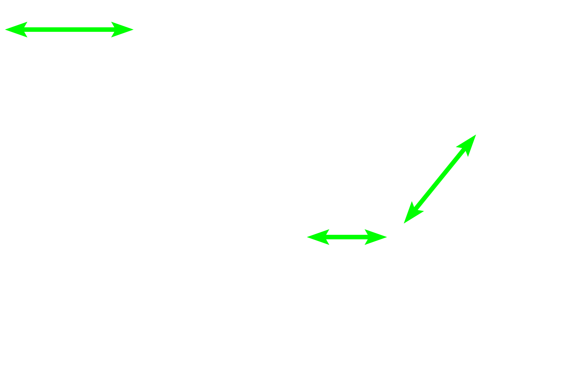 Mucous tubules <p>The sublingual gland is a compound tubuloalveolar gland, although mucous tubules predominate.  Some regions of the gland, as seen here, are composed almost entirely of mucus-secreting tubules, with serous demilunes capping many tubules.  Serous-secreting acini are clustered in other areas of the gland.  Intralobular ducts are poorly developed in this organ.  800x</p>
