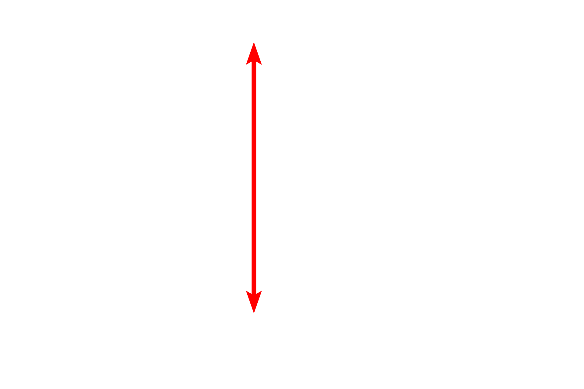 Striated duct <p>Intercalated ducts anastomose to form the second intralobular duct, the striated duct.  A striated duct has a diameter equal to, or larger than that of an acinus, and is lined by simple columnar epithelium.  Numerous mitochondria and membrane infoldings at the bases of the epithelial cells produce peripheral striations, hence its name.  1000x</p>
