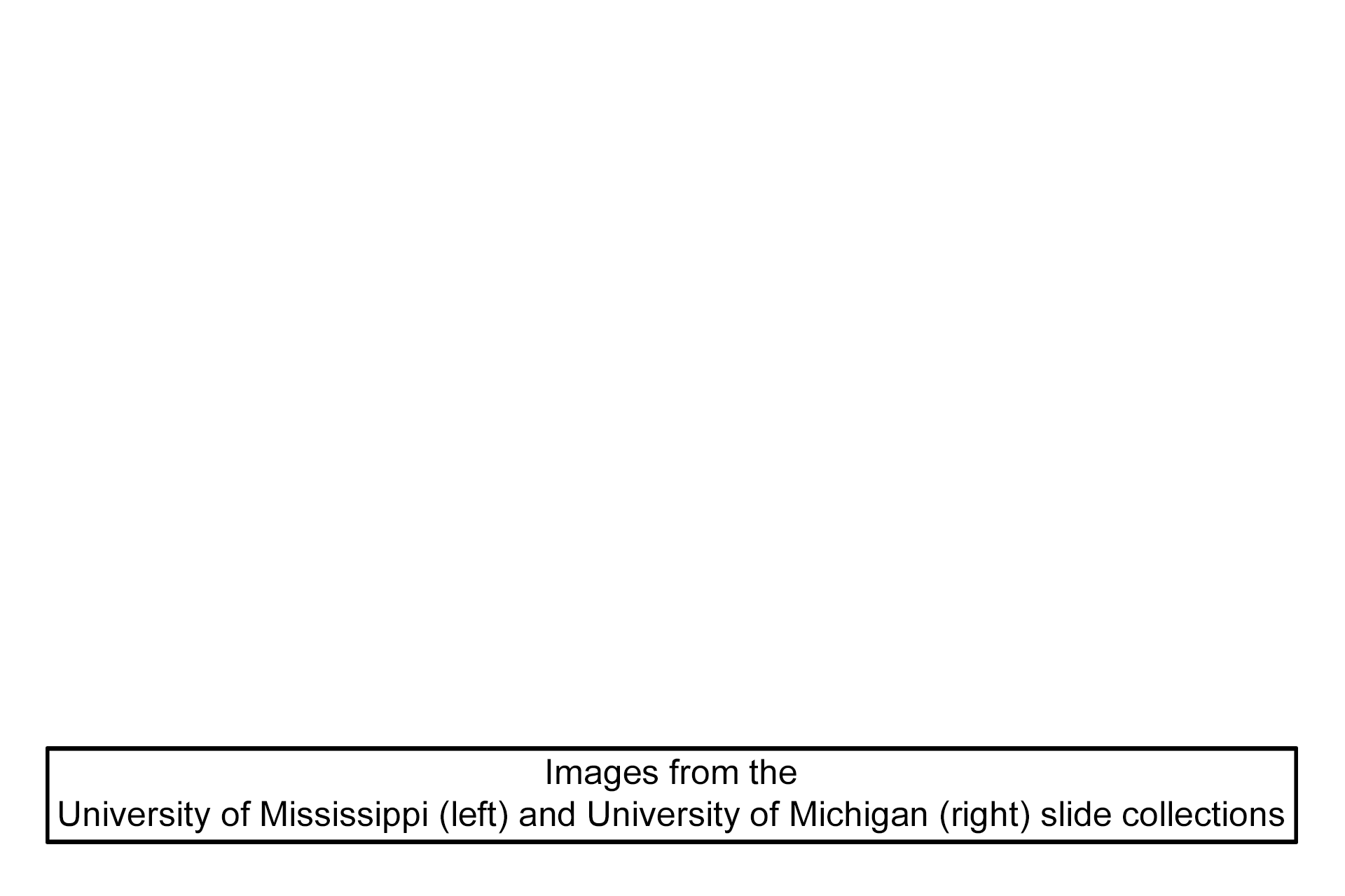 Image source > <p>These images were taken of slides from the University of Mississippi and University of Michigan and collections.</p>
