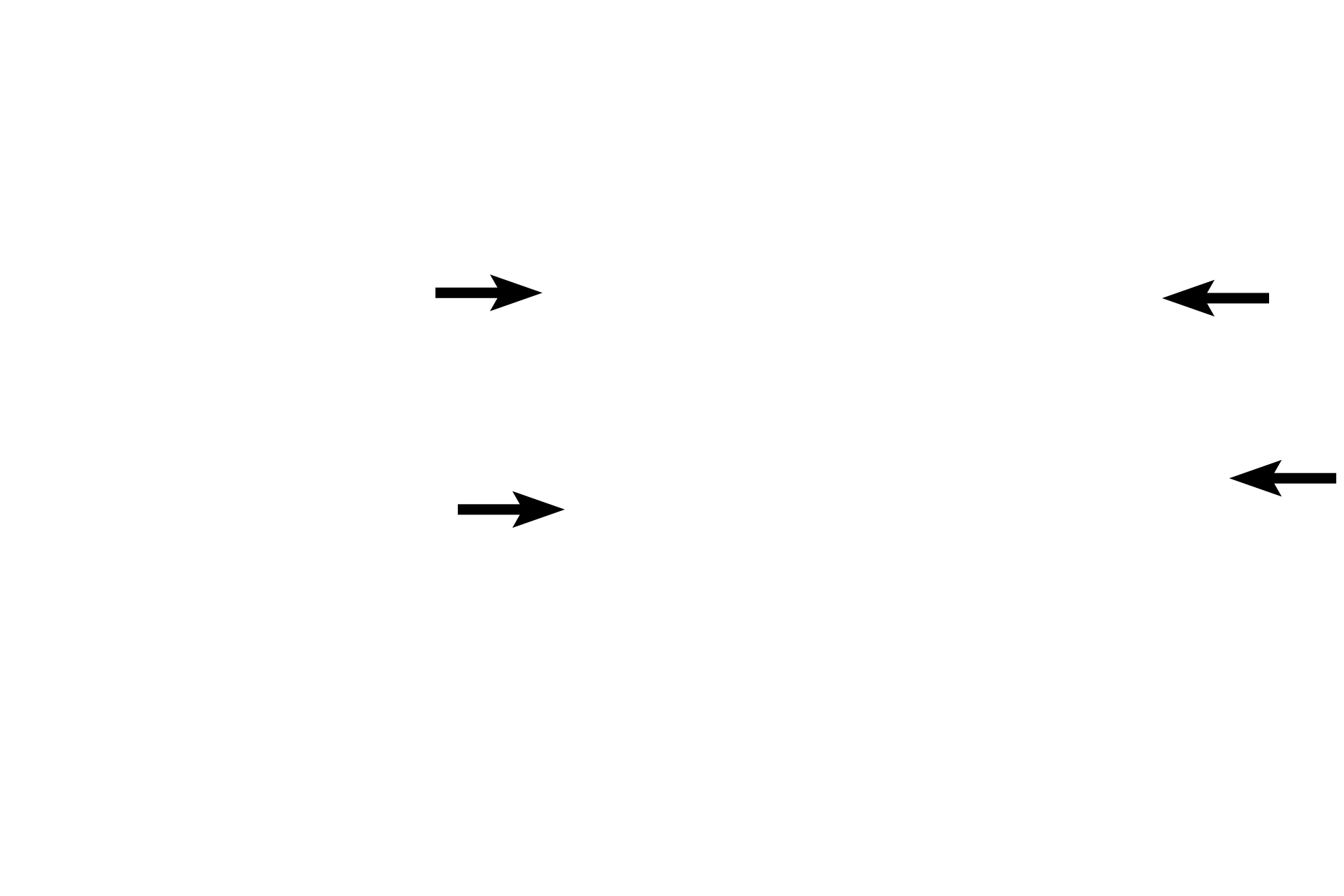 Taste buds <p>Eight to twelve circumvallate papillae are located along the sulcus terminalis, separating the anterior from the posterior portion of the tongue.  Each papilla is surrounded by a deep sulcus that receives ducts of the serous glands of von Ebner.  The connective tissue core is covered on its lateral surfaces with moist stratified squamous epithelium containing many taste buds.  The surface epithelium is keratinized.  40x</p>
