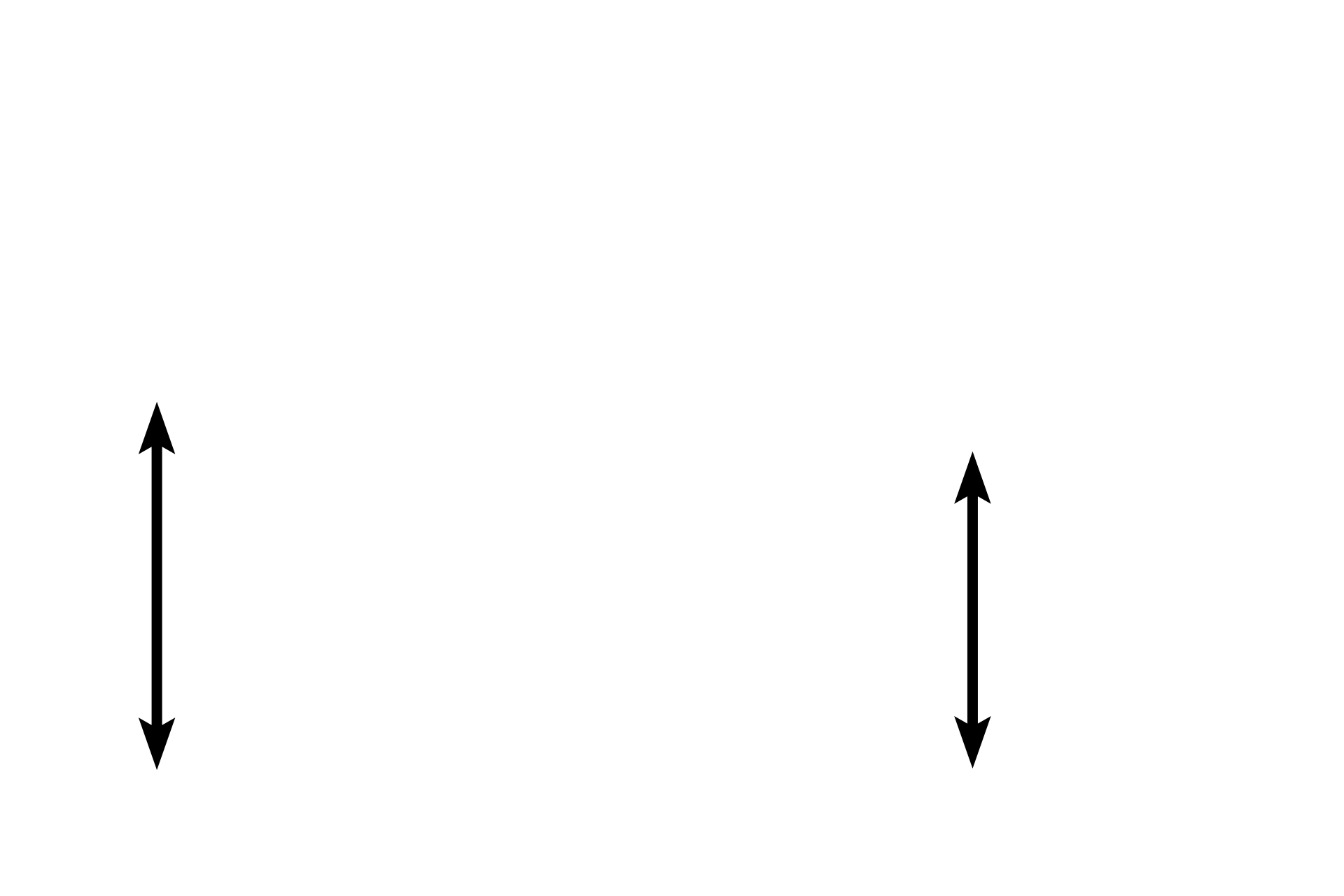 Serous glands of von Ebner <p>Eight to twelve circumvallate papillae are located along the sulcus terminalis, separating the anterior from the posterior portion of the tongue.  Each papilla is surrounded by a deep sulcus that receives ducts of the serous glands of von Ebner.  The connective tissue core is covered on its lateral surfaces with moist stratified squamous epithelium containing many taste buds.  The surface epithelium is keratinized.  40x</p>
