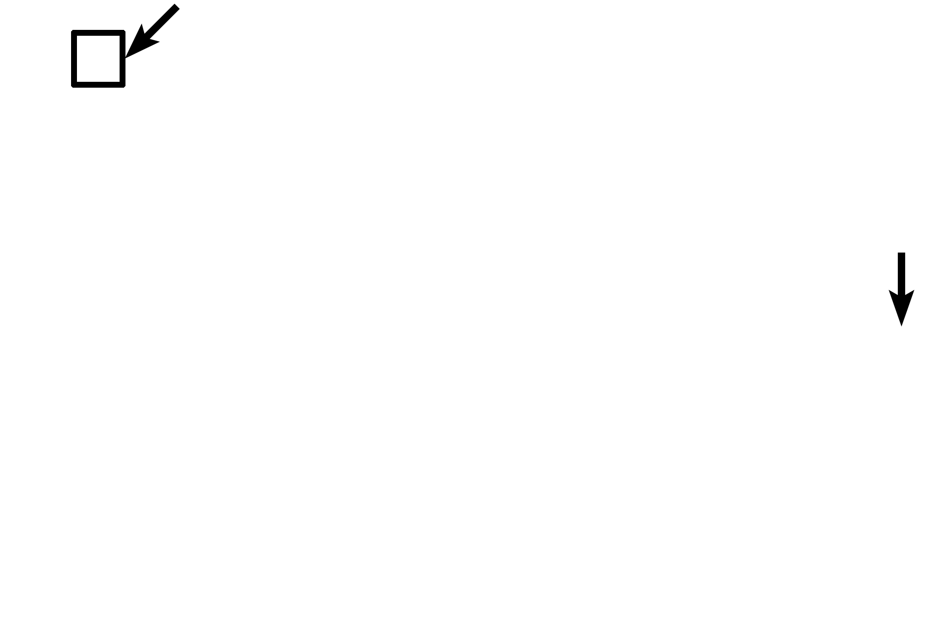  - Taste pore <p>Taste buds contain three cell types: neuroepithelial (sensory) cells, which are the most numerous cell type; supporting cells; and basal (stem) cells.  Sensory and supporting cells extend from the base of the taste bud to the taste pore.  Sensory cells, whose nuclei are more euchromatic than supporting cells, extend microvilli into the pore to detect tastant molecules. 400x</p>
