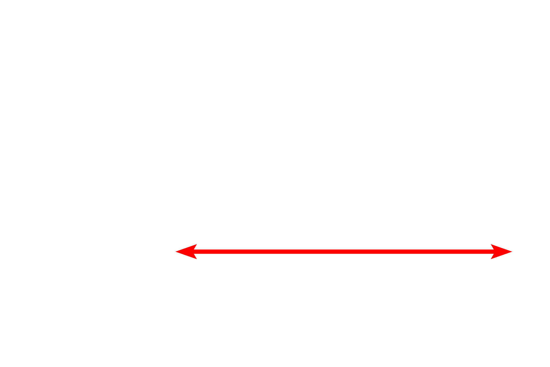 Dentin <p>A section of ground tooth shows the dentin and the dentinal tubules.  Dentin is the most similar to bone of all the hard tissues of the tooth.  The dentinal tubules, housing odontoblast processes, form S-shaped curves and extend from the pulp chamber, where the odontoblasts are located, to the dentino-enamel or the dentino-cementum junctions.  200x</p>
