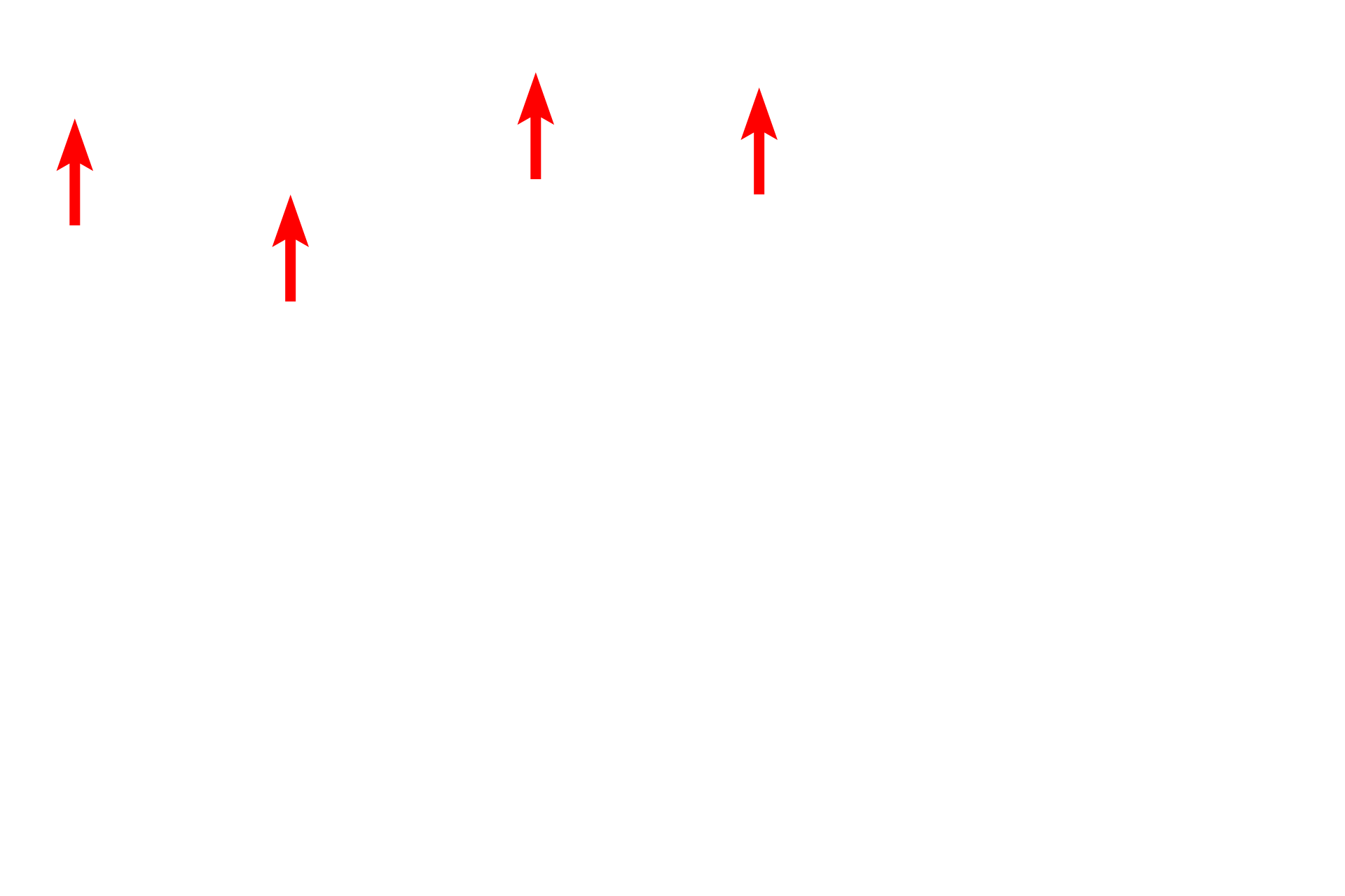  - Sheet gland <p>Stratified squamous moist epithelium lining the esophagus changes abruptly to a simple columnar epithelium forming the sheet gland of the stomach.  Esophageal glands proper, tubulo-acinar glands in the submucosa, continue into the stomach in this section.  100x</p>
