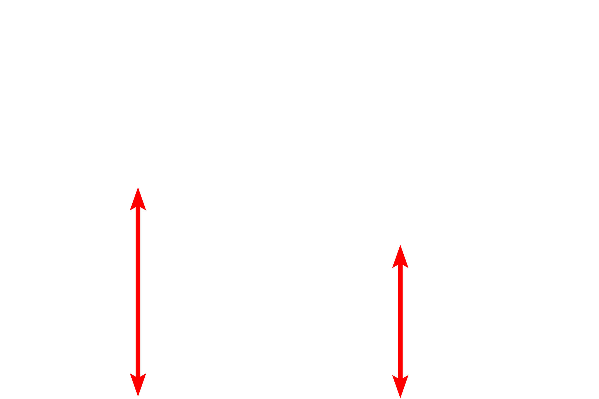 Submucosa <p>Stratified squamous moist epithelium lining the esophagus changes abruptly to a simple columnar epithelium forming the sheet gland of the stomach.  Esophageal glands proper, tubulo-acinar glands in the submucosa, continue into the stomach in this section.  100x</p>
