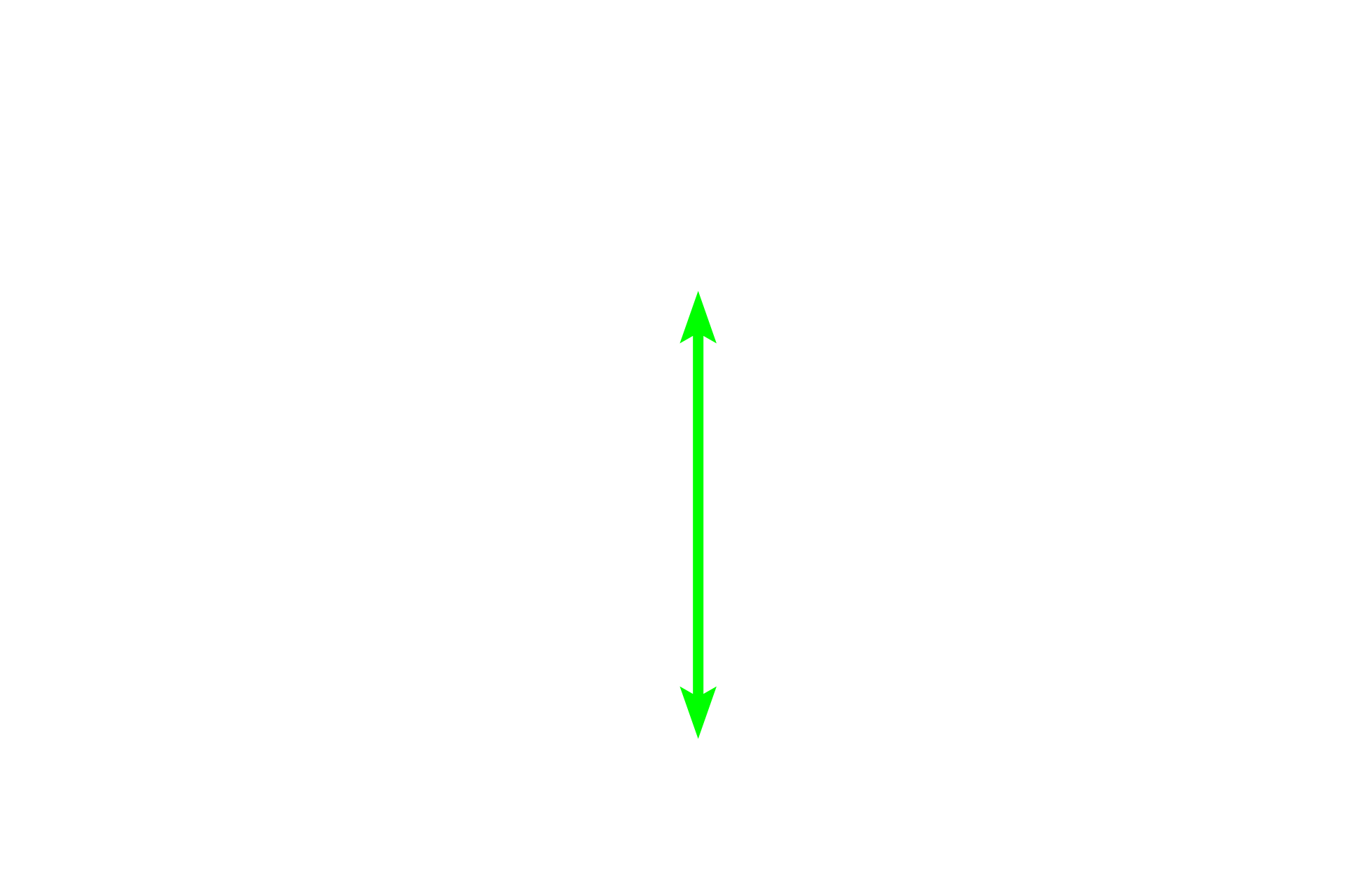 Epithelium <p>The lining of the esophageal mucosa is typical stratified squamous moist epithelium, providing protection for the esophagus as well as forming a barrier to microbes.  Because nucleated cells remain at the surface of this epithelium, the epithelium is classified as non-keratinized.  200x</p>
