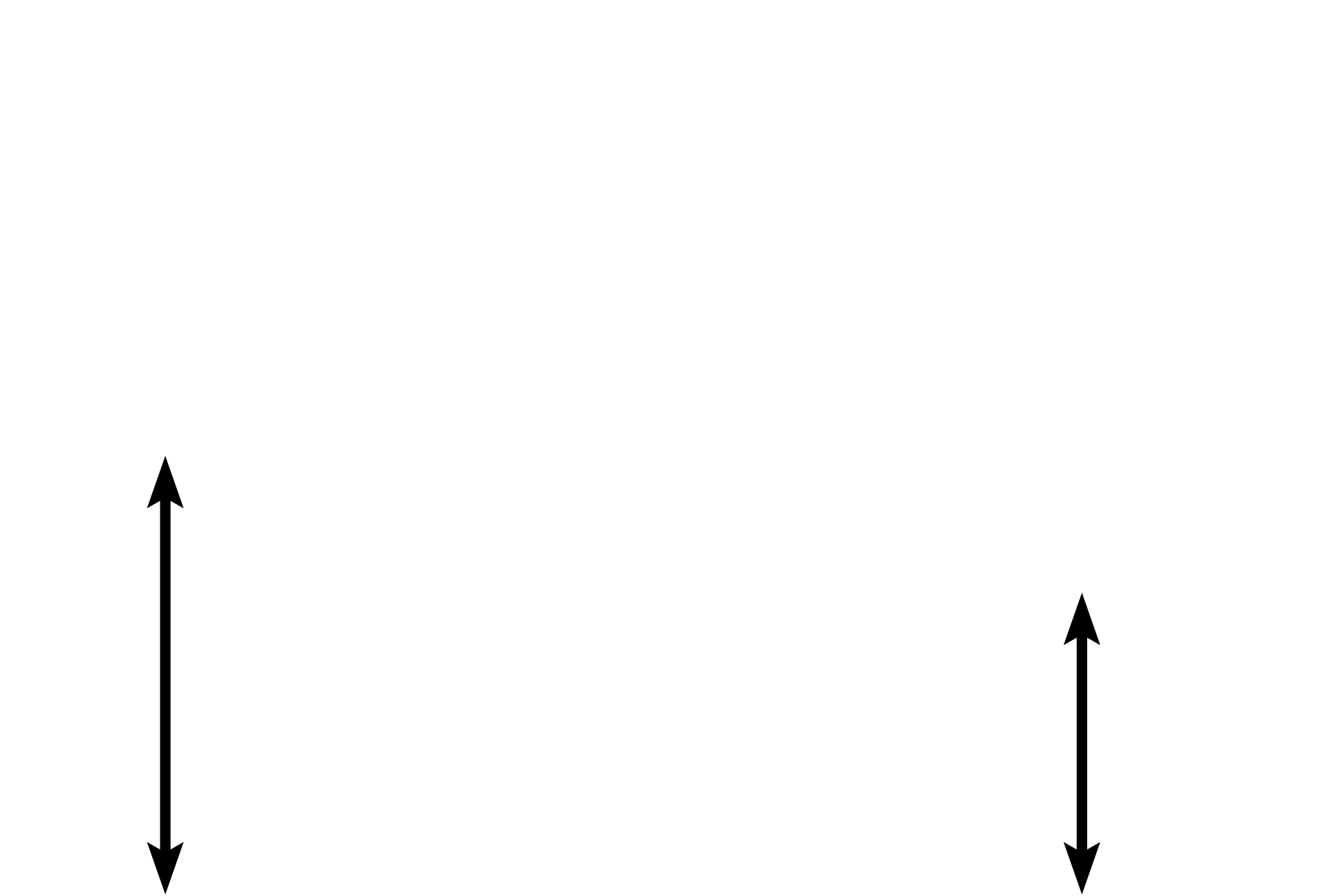 Lamina propria <p>The lining of the esophageal mucosa is typical stratified squamous moist epithelium, providing protection for the esophagus as well as forming a barrier to microbes.  Because nucleated cells remain at the surface of this epithelium, the epithelium is classified as non-keratinized.  200x</p>
